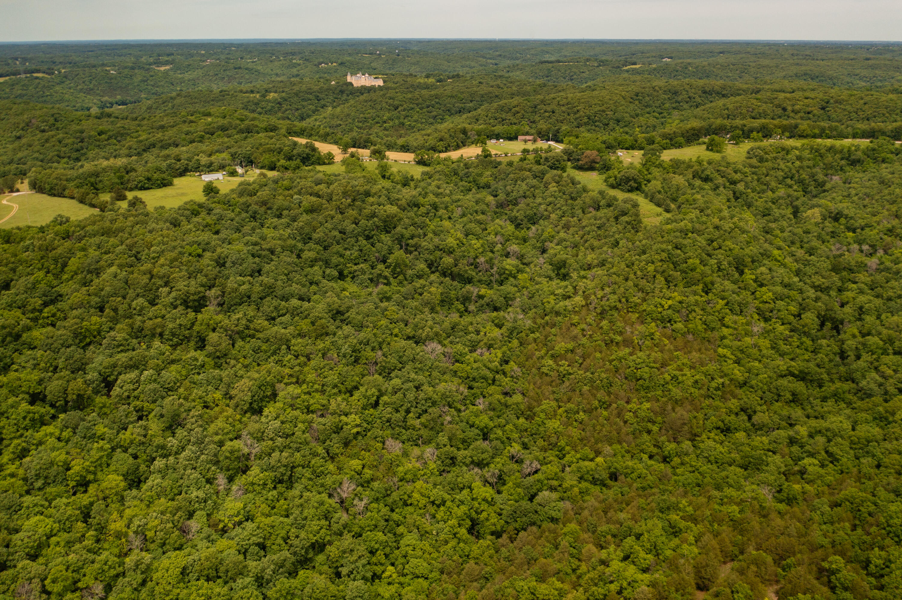 Tbd-1 Logan Ridge Road Property Photo 6
