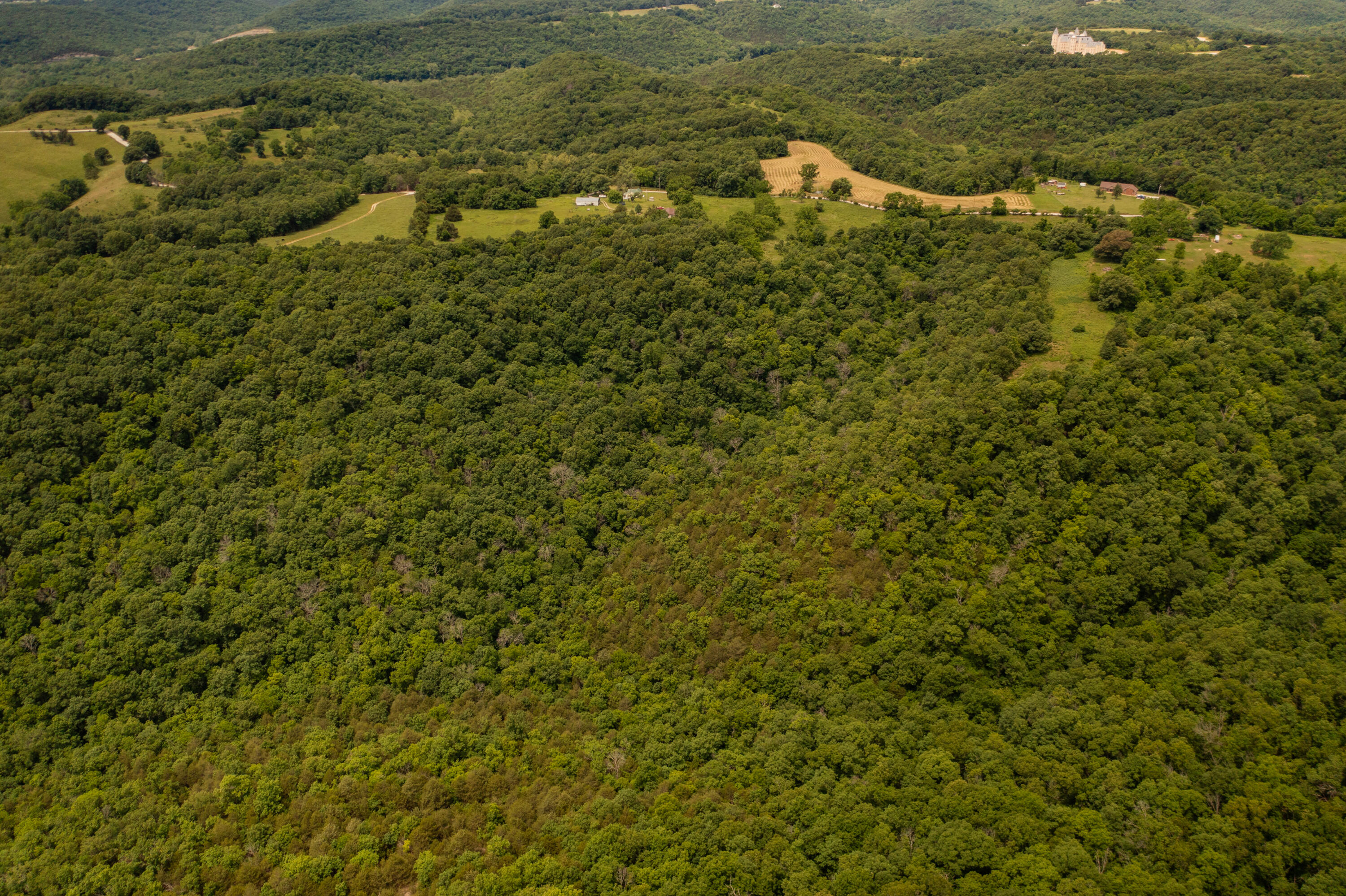 Tbd-1 Logan Ridge Road Property Photo 7