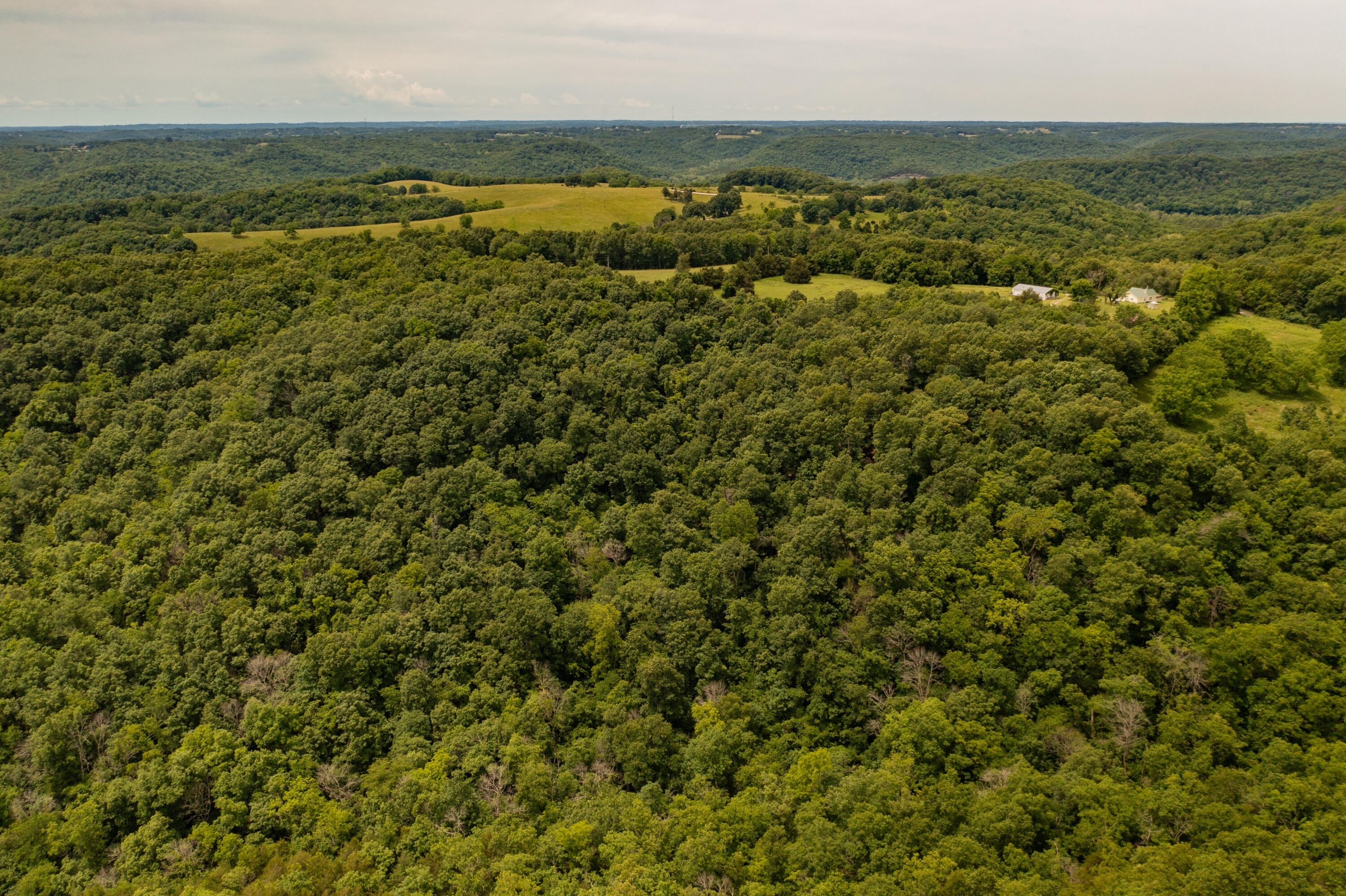 Tbd-1 Logan Ridge Road Property Photo 8