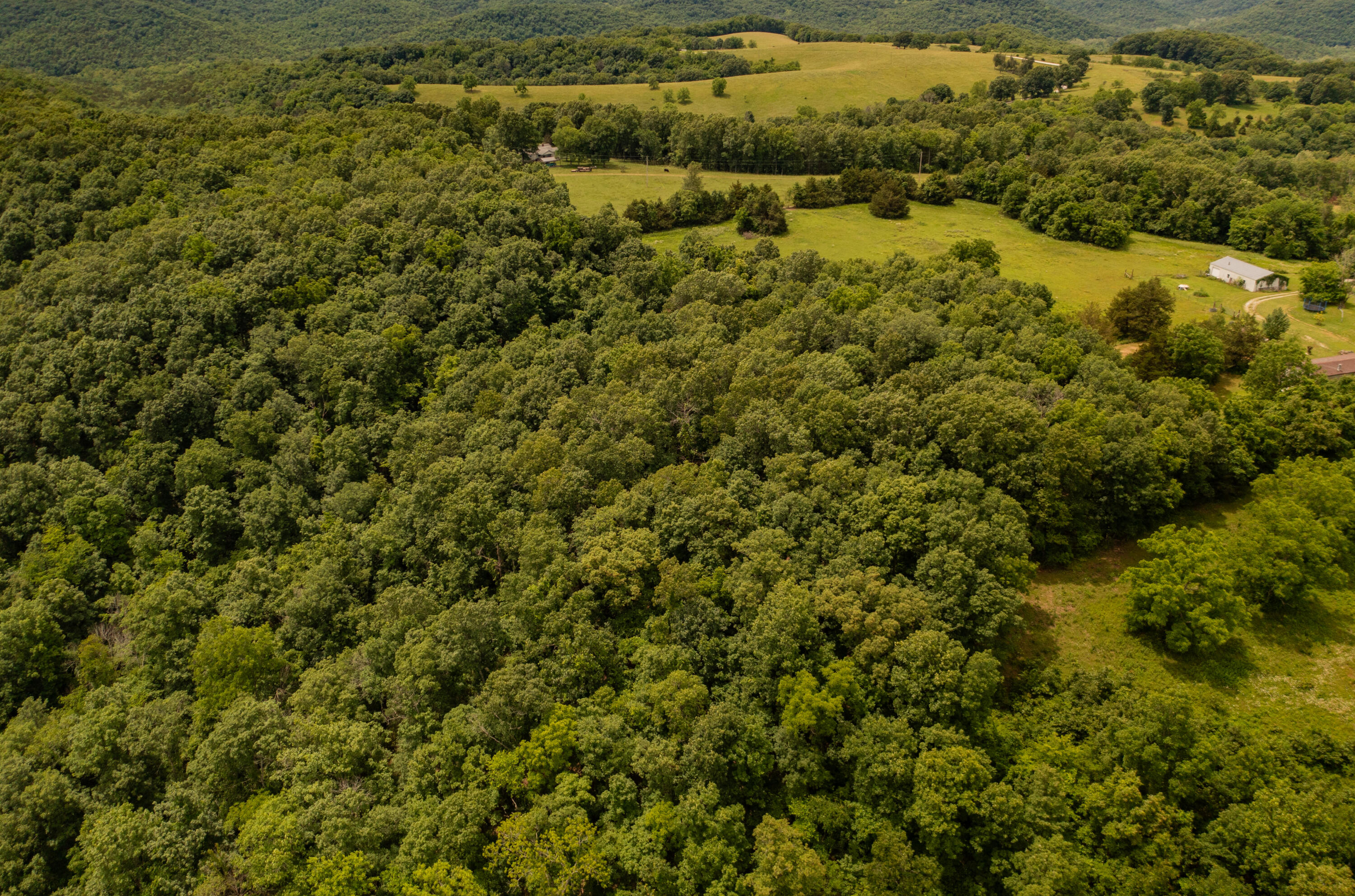 Tbd-1 Logan Ridge Road Property Photo 9
