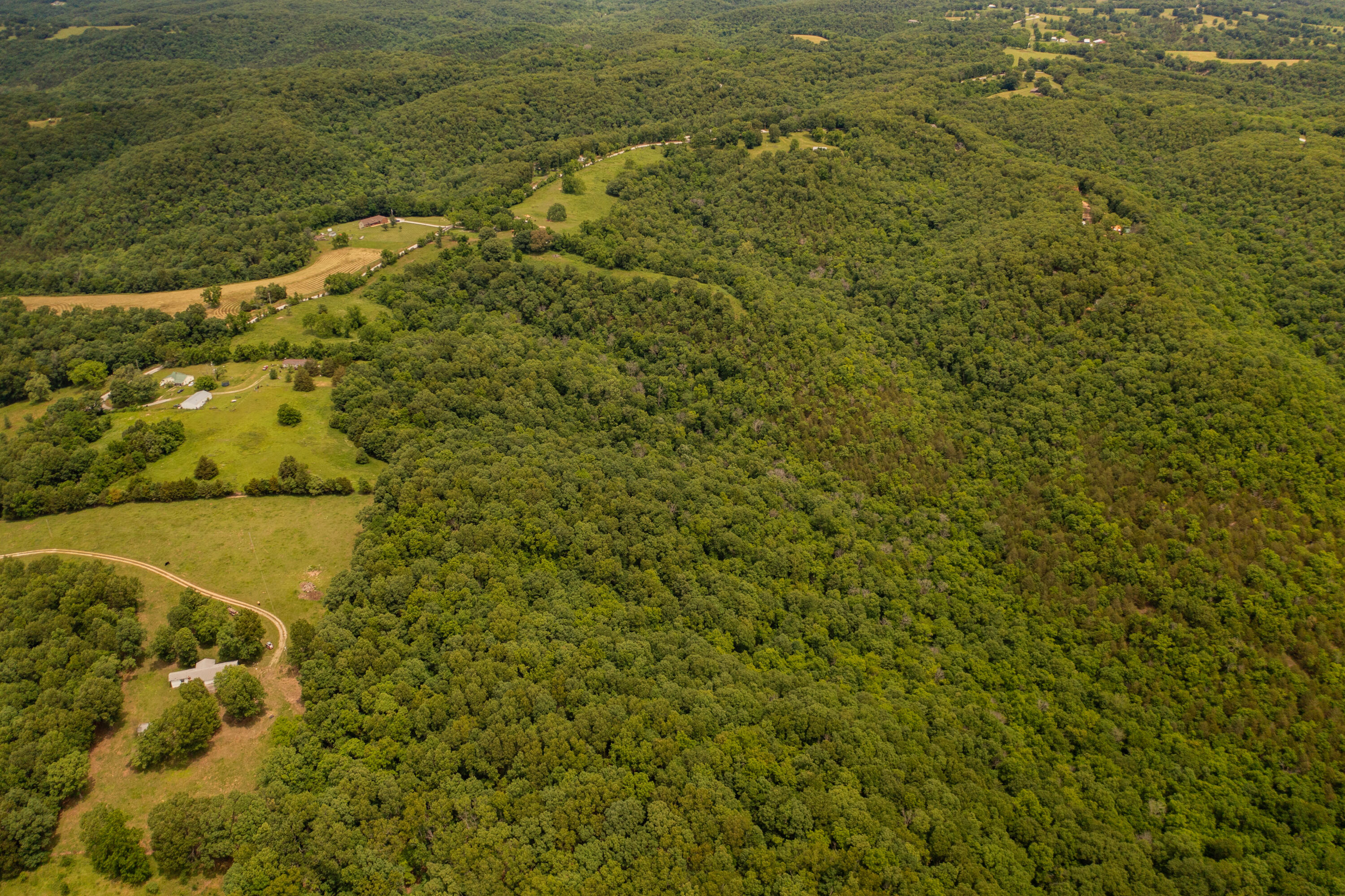 Tbd-1 Logan Ridge Road Property Photo 11
