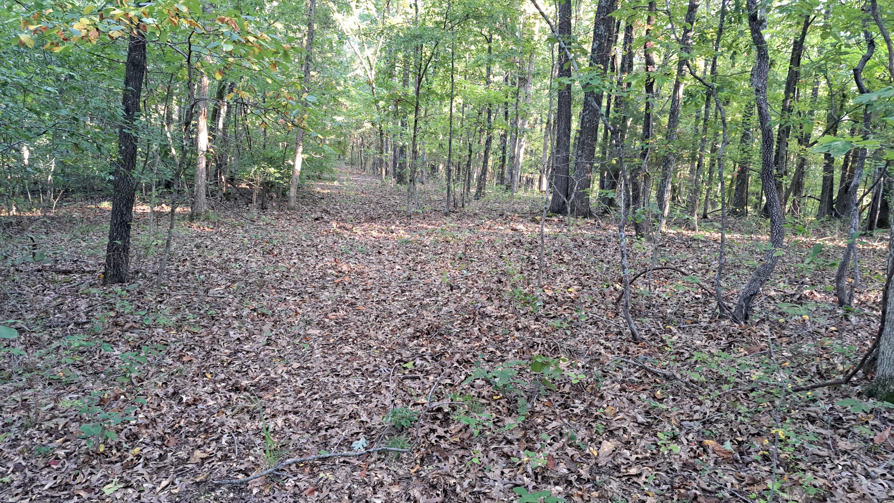 Tbd-1 Logan Ridge Road Property Photo 15