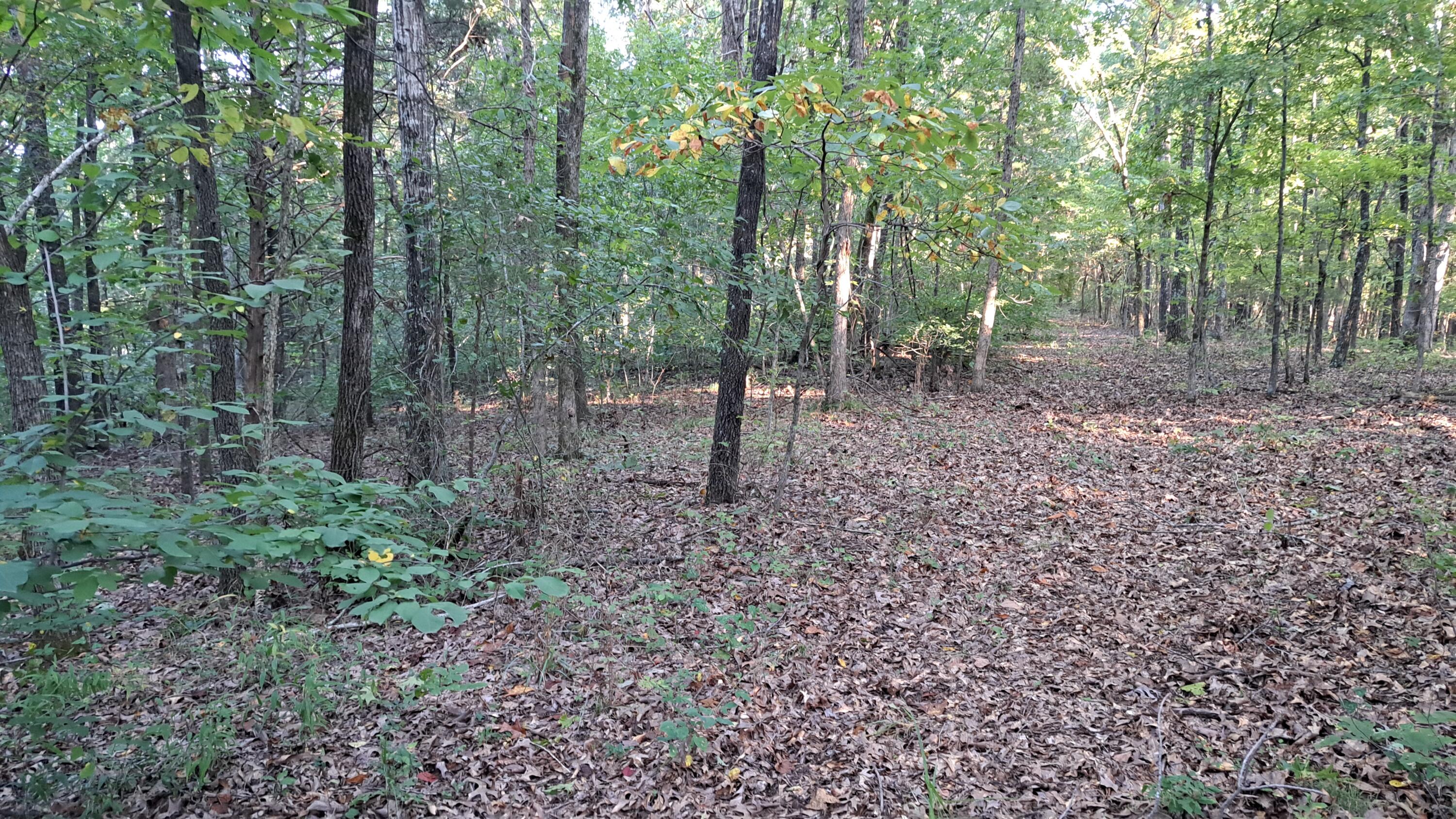 Tbd-1 Logan Ridge Road Property Photo 16