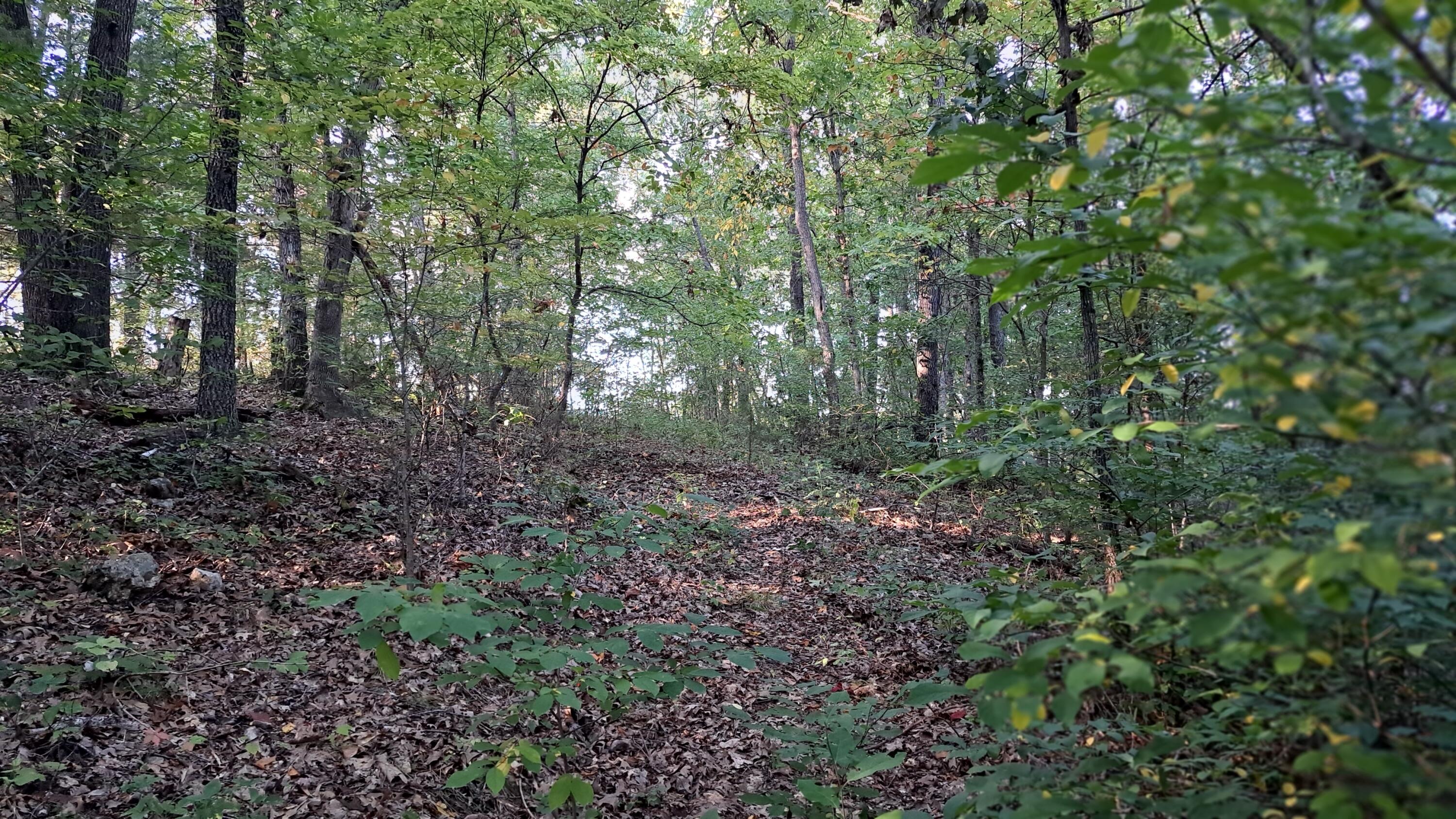 Tbd-1 Logan Ridge Road Property Photo 18