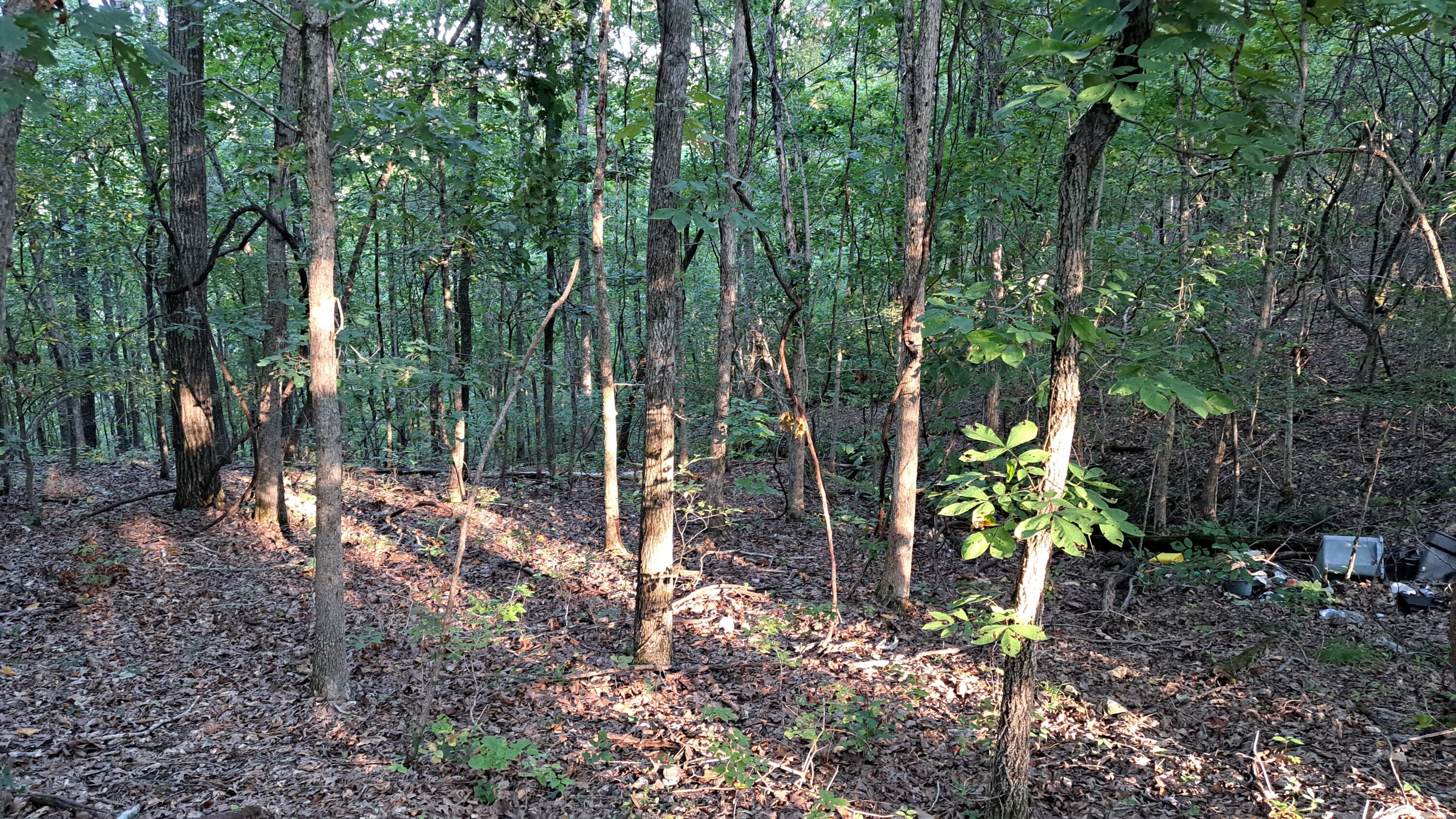 Tbd-1 Logan Ridge Road Property Photo 19