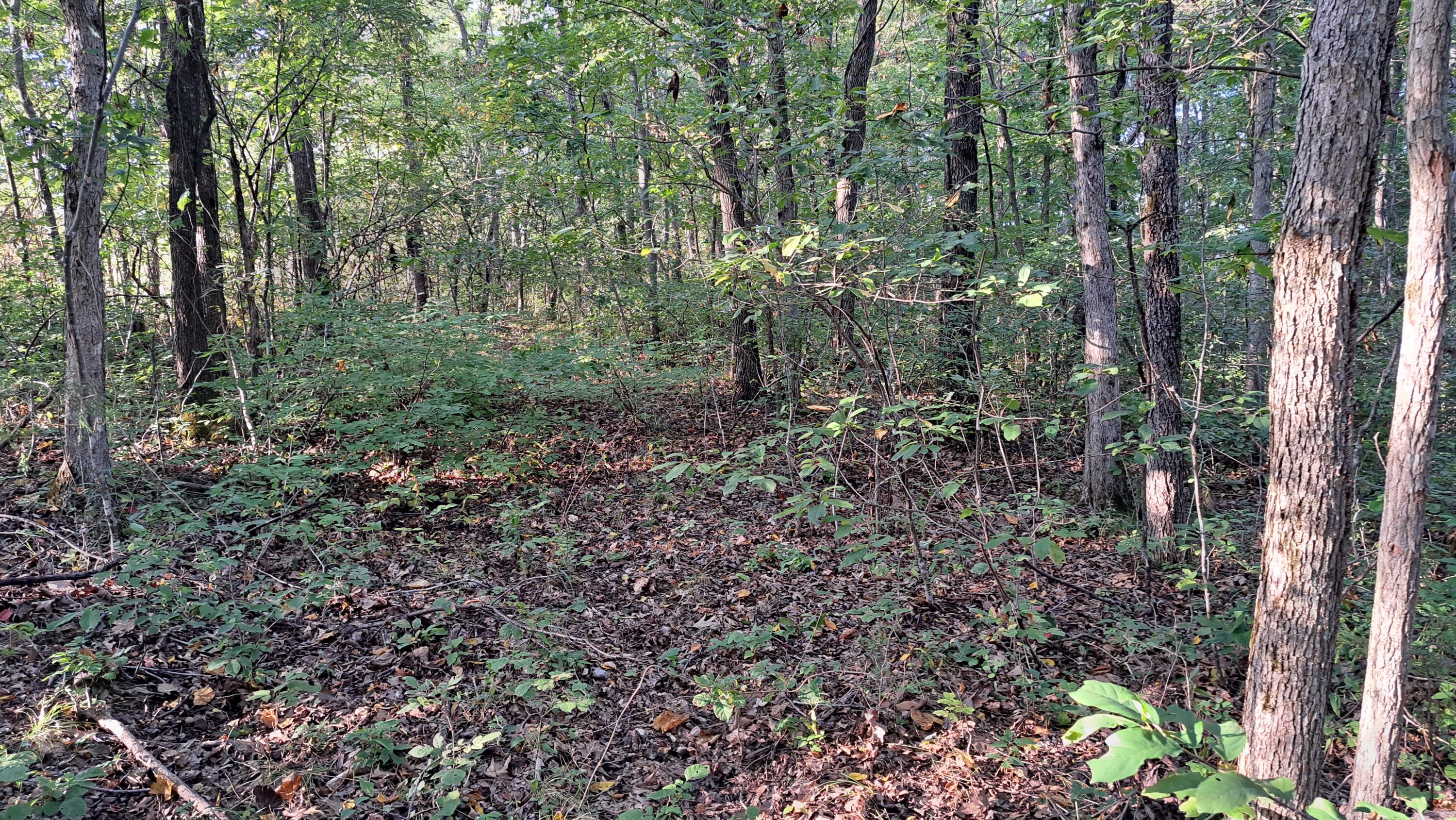 Tbd-1 Logan Ridge Road Property Photo 21