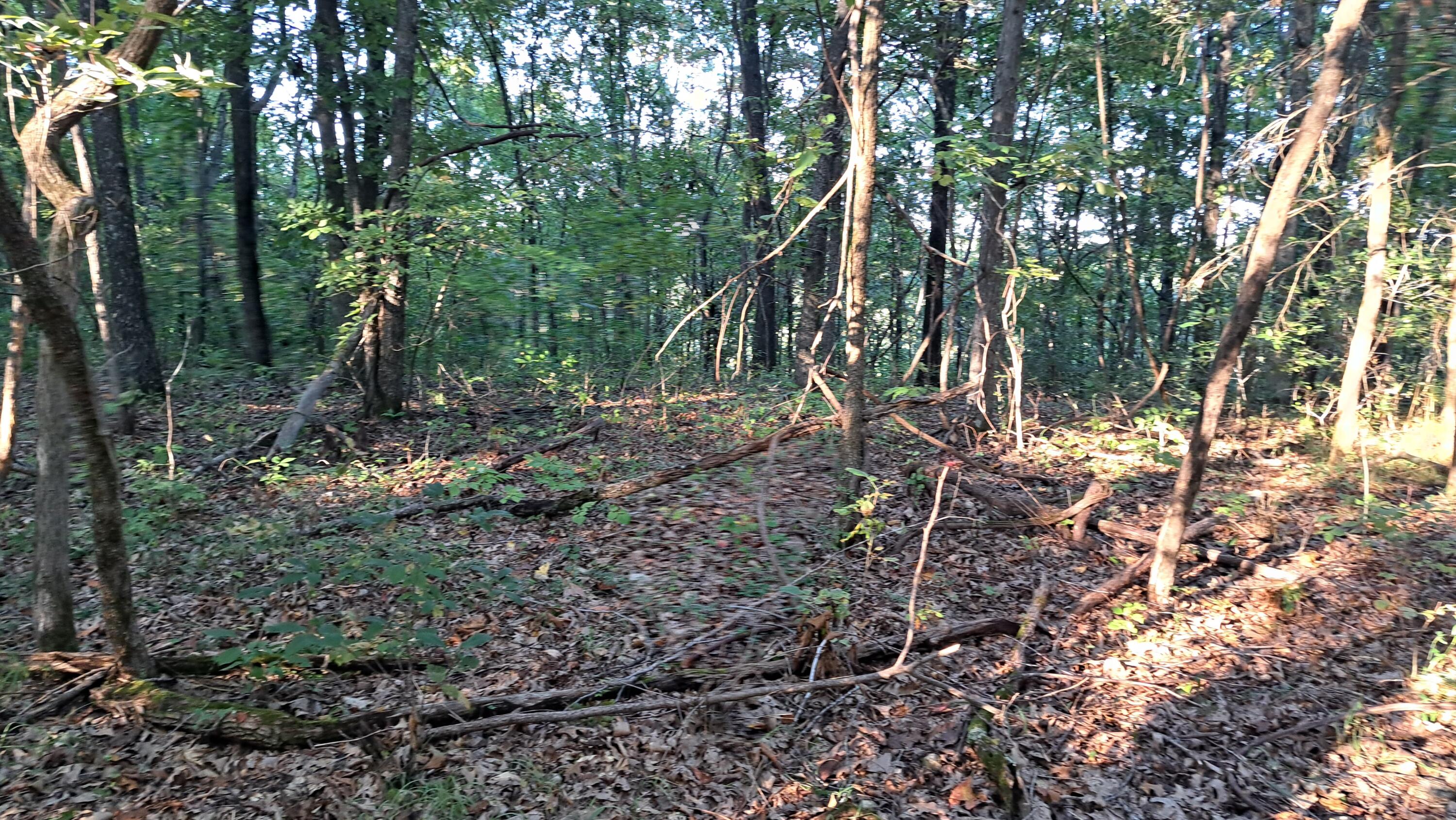 Tbd-1 Logan Ridge Road Property Photo 22