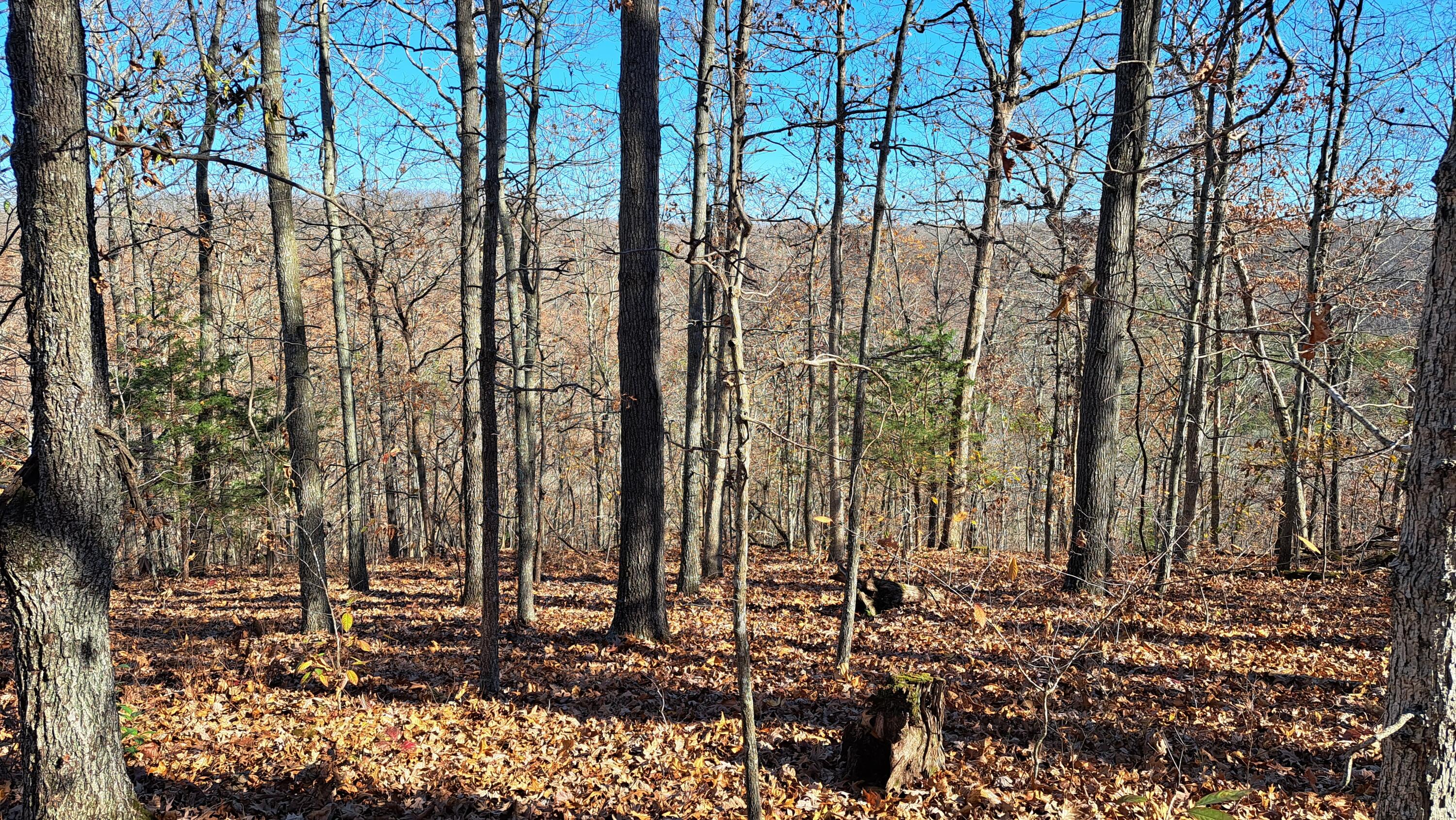 Tbd-1 Logan Ridge Road Property Photo 23