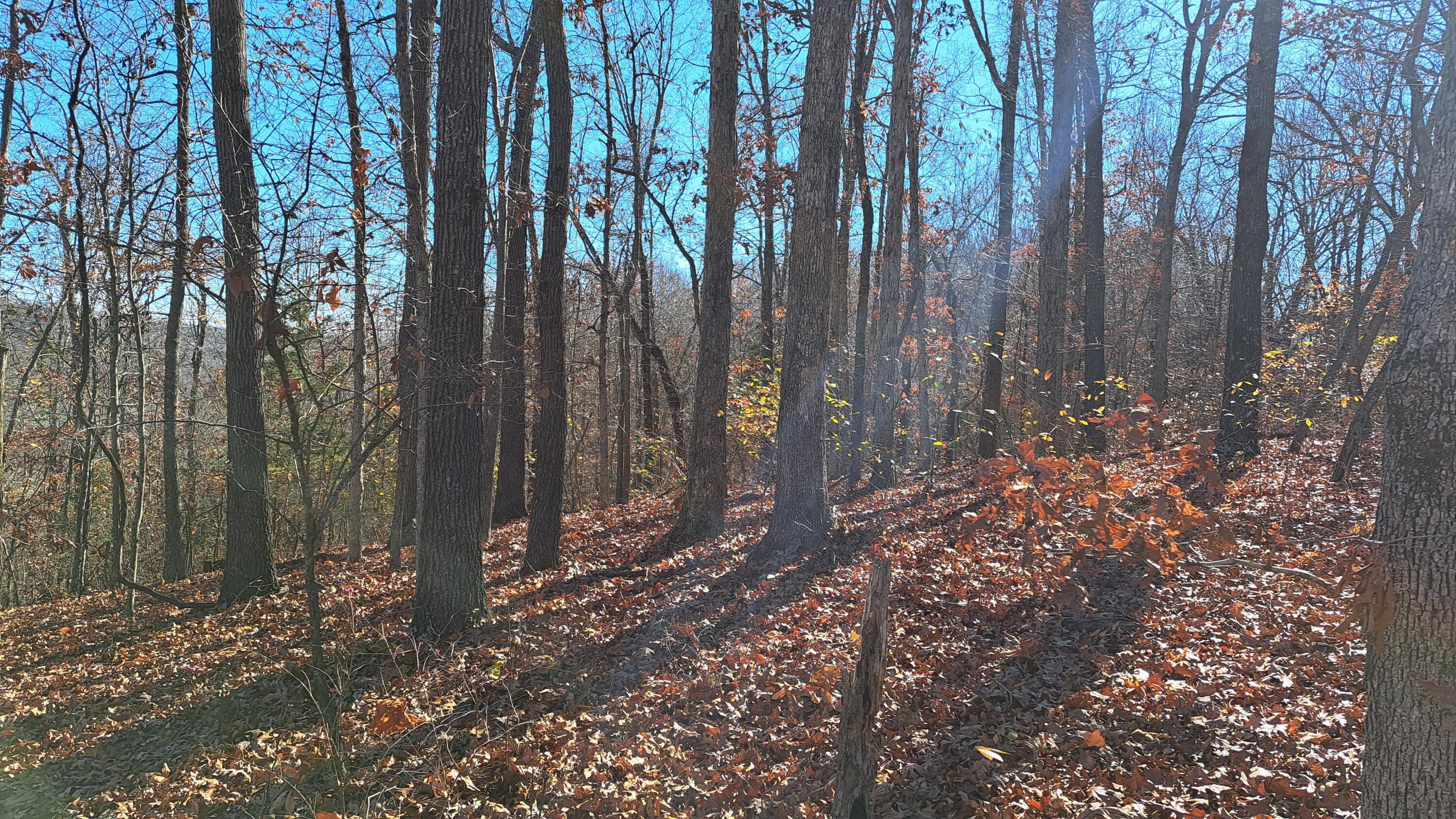 Tbd-1 Logan Ridge Road Property Photo 24
