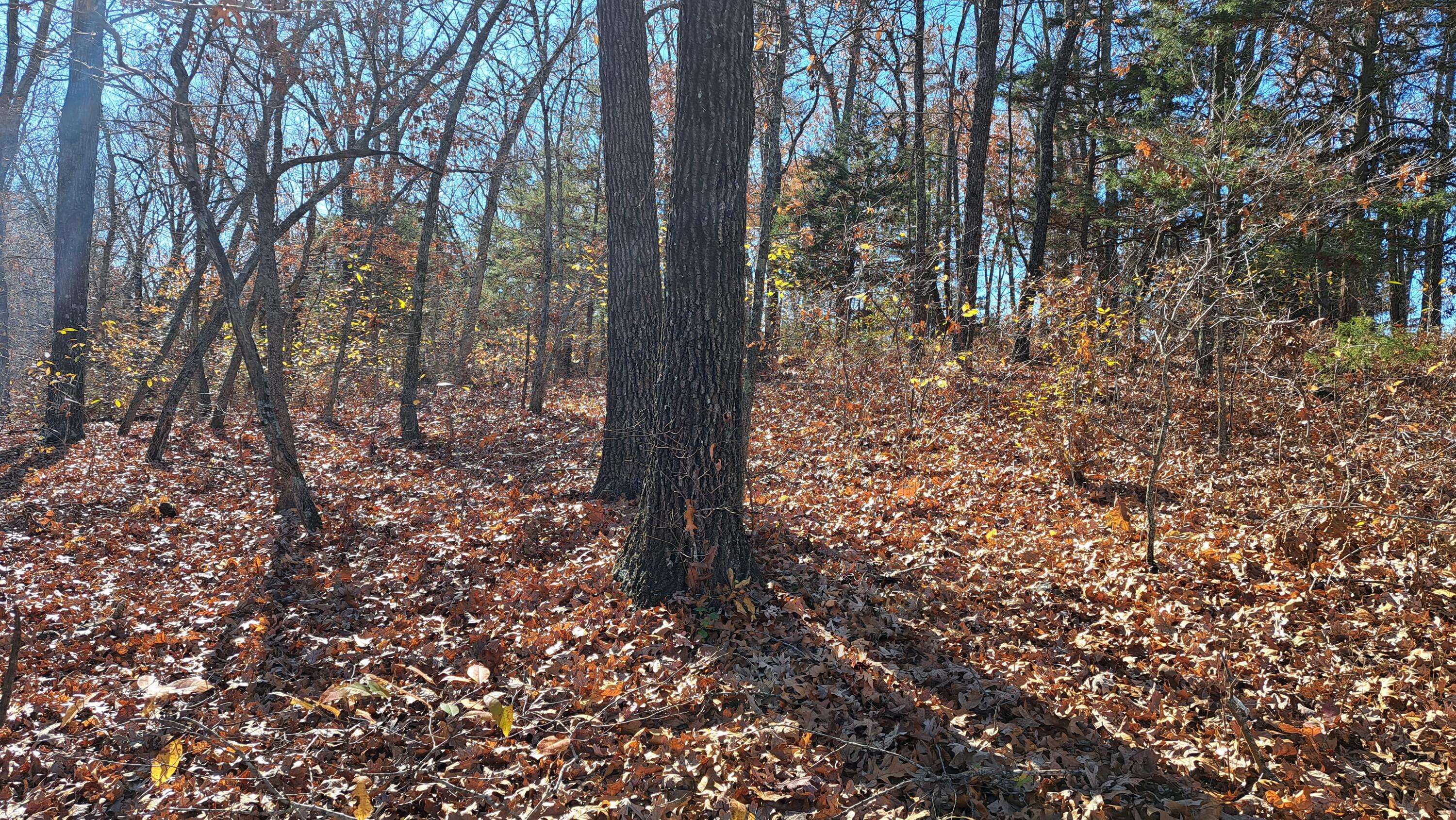 Tbd-1 Logan Ridge Road Property Photo 25