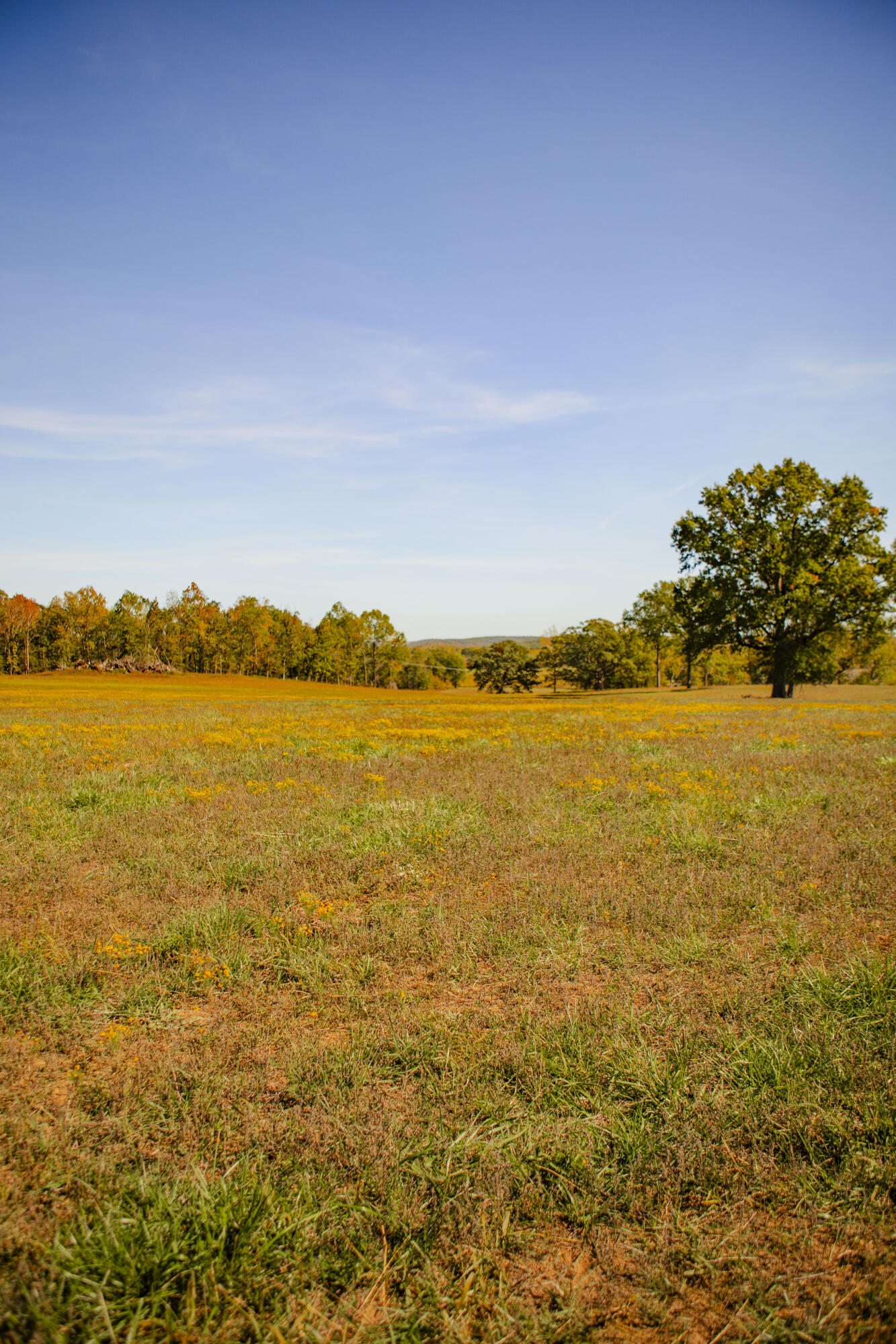 007 Highway 32 Property Photo 5