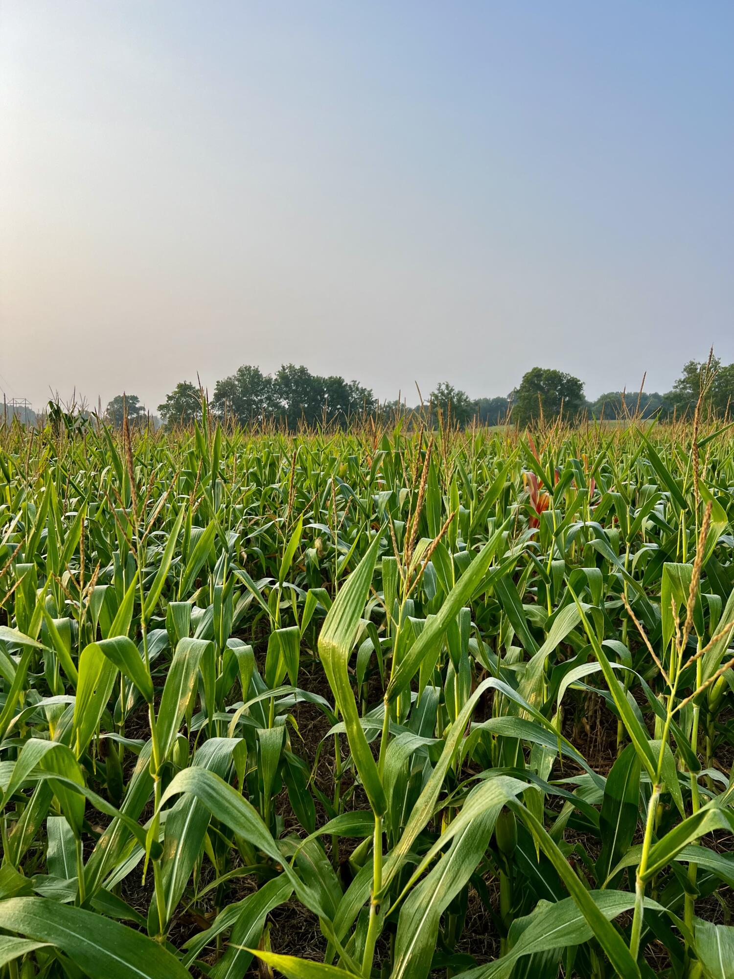 008 Highway 32 Property Photo 2