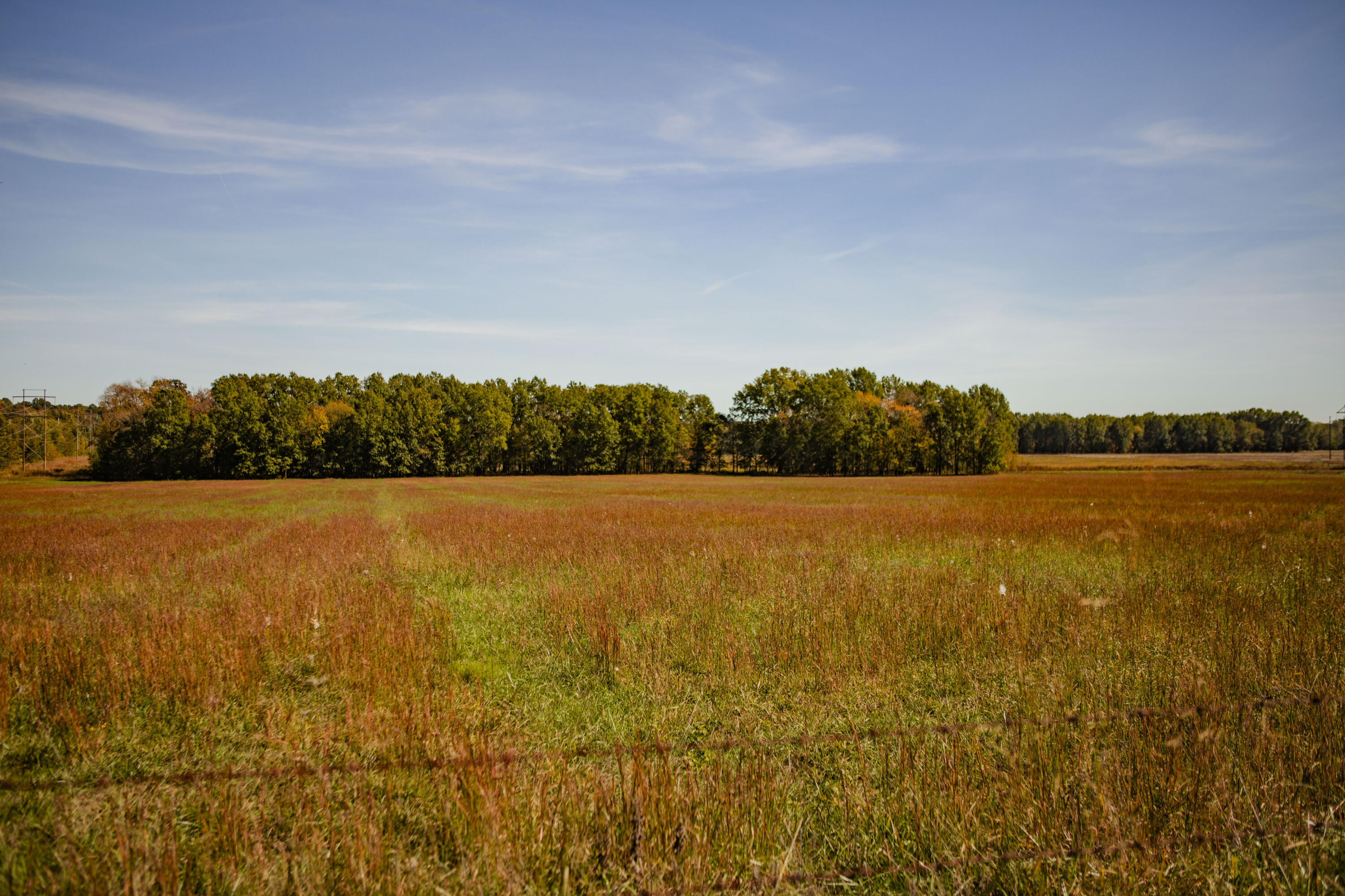 008 Highway 32 Property Photo 9