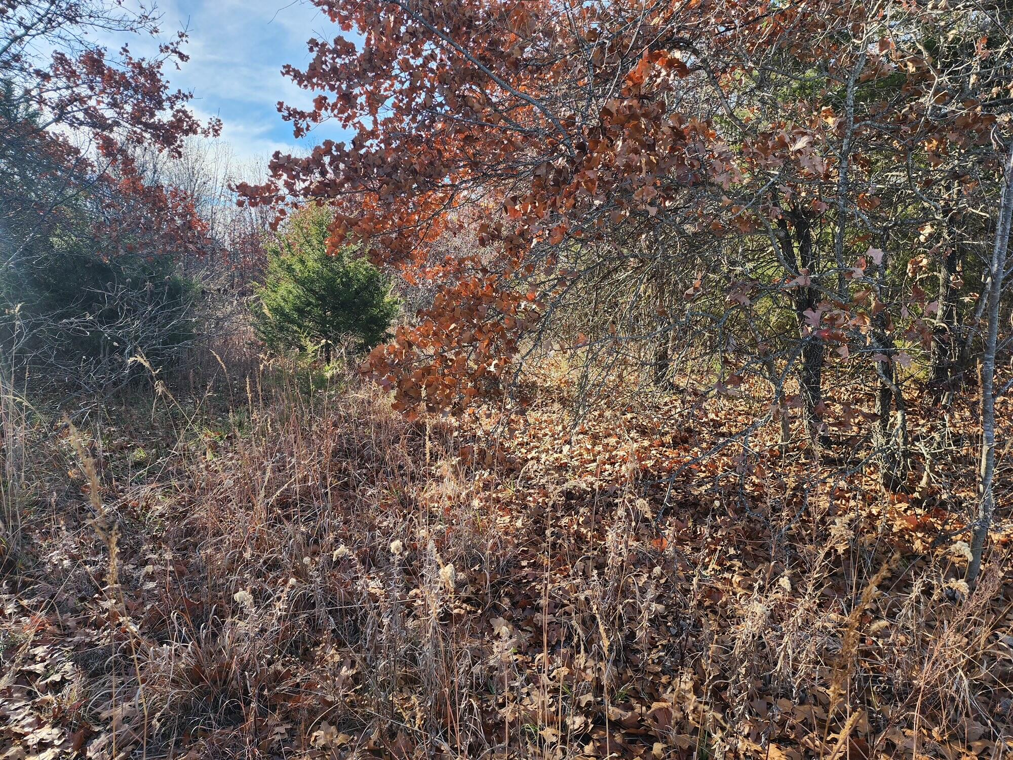 000 Highway 17 Property Photo 2