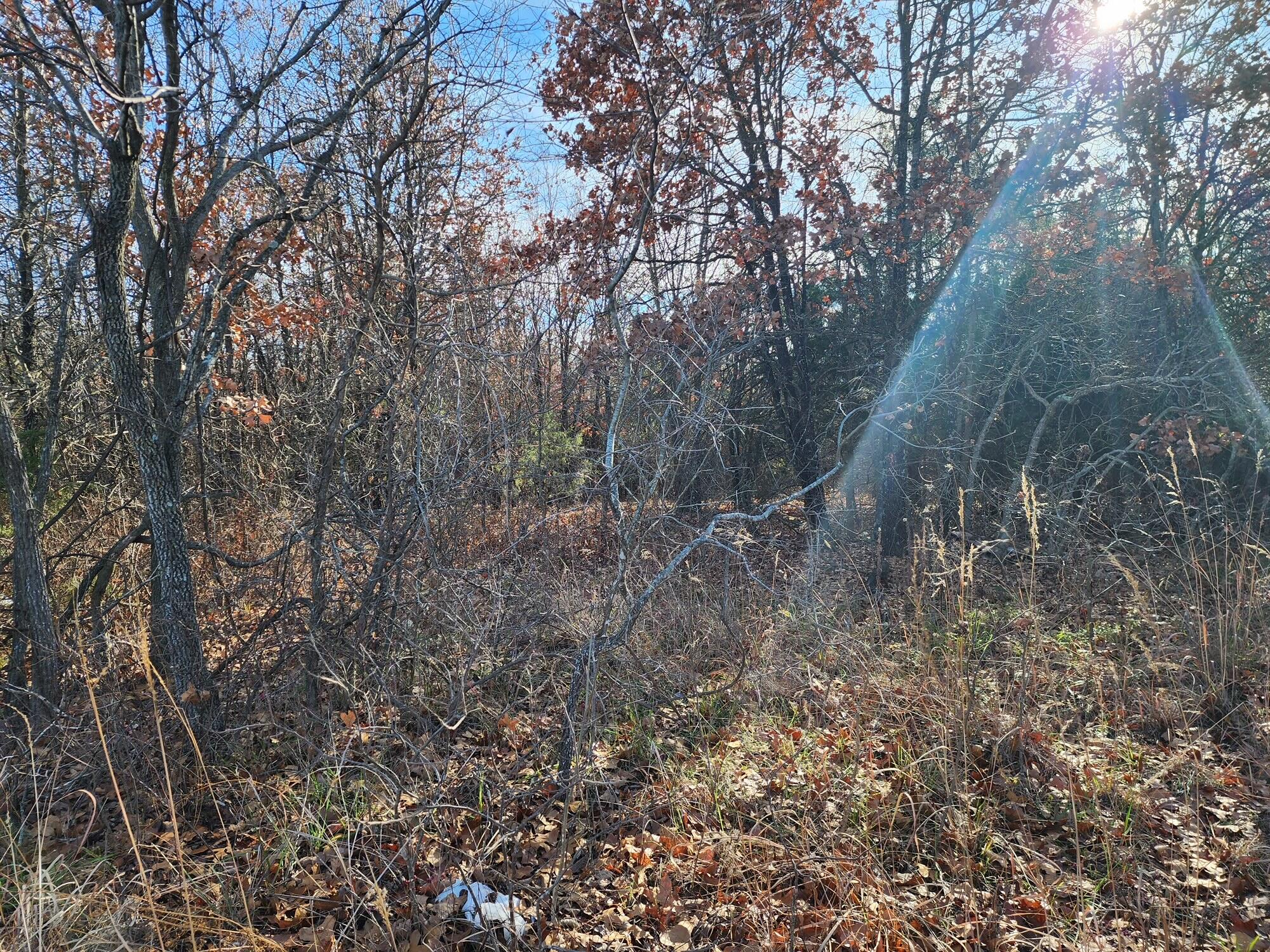000 Highway 17 Property Photo 3