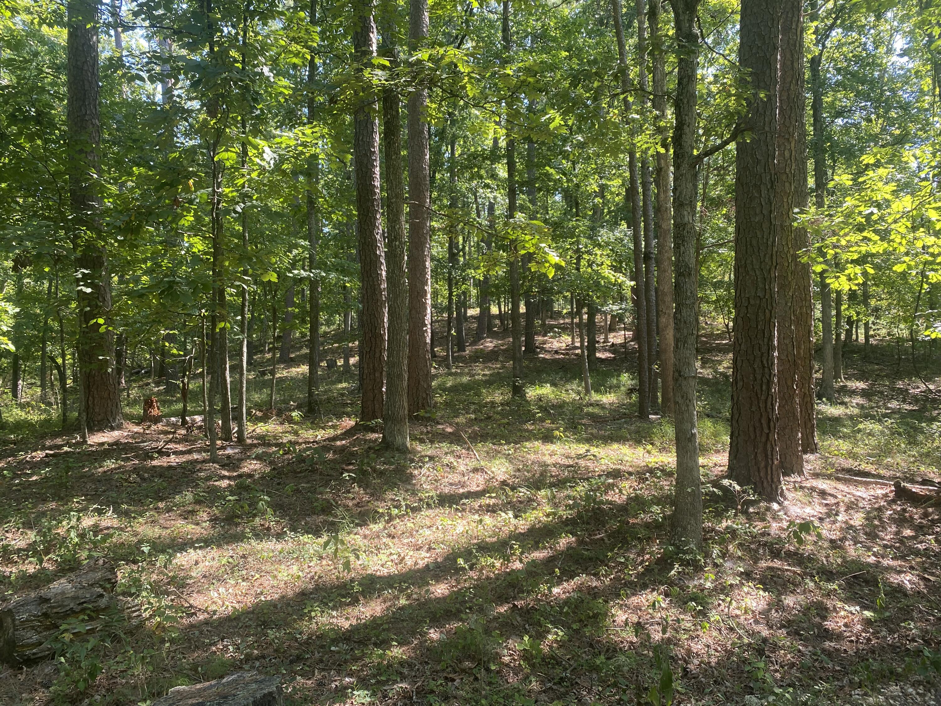 000 County Road 550 Property Photo 2