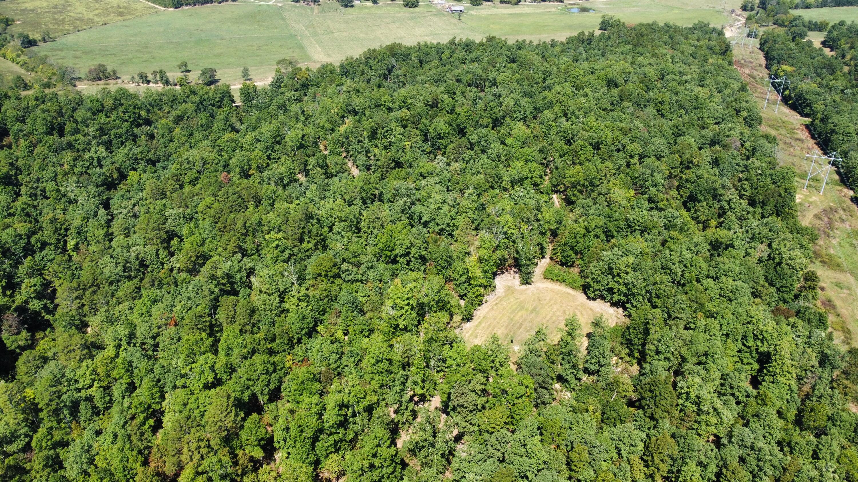 000 County Road 550 Property Photo 6