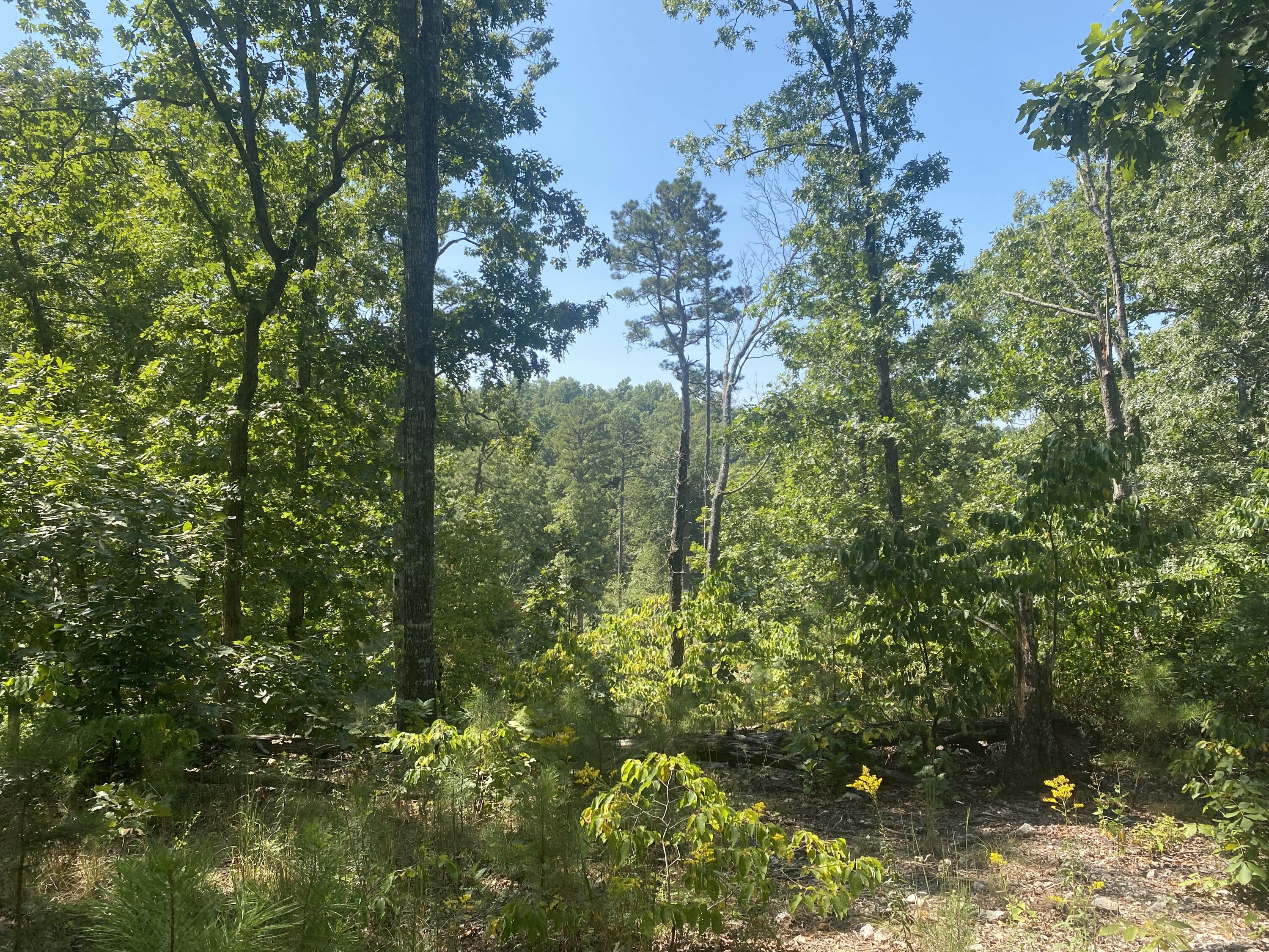 000 County Road 550 Property Photo 8
