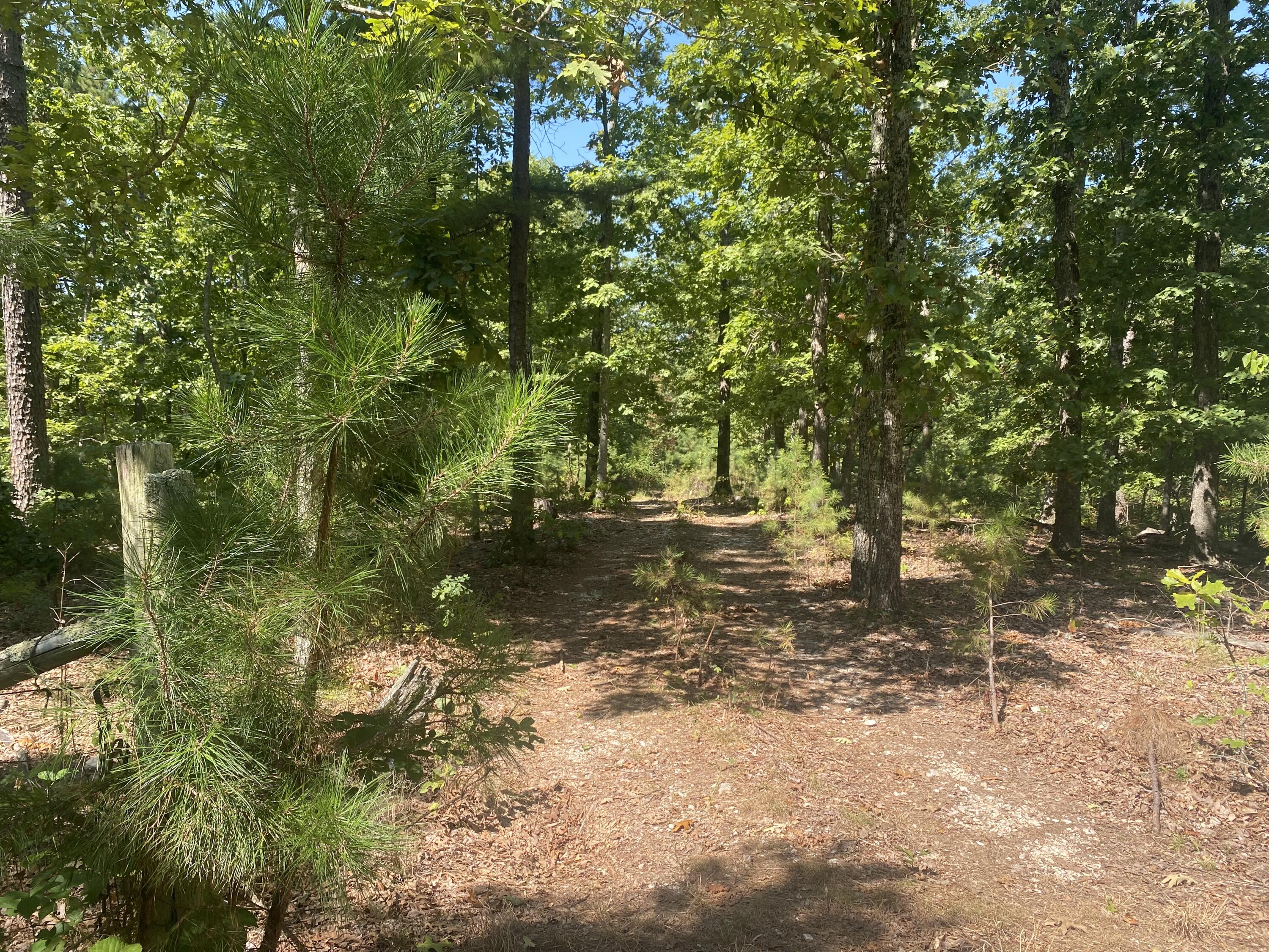 000 County Road 550 Property Photo 9