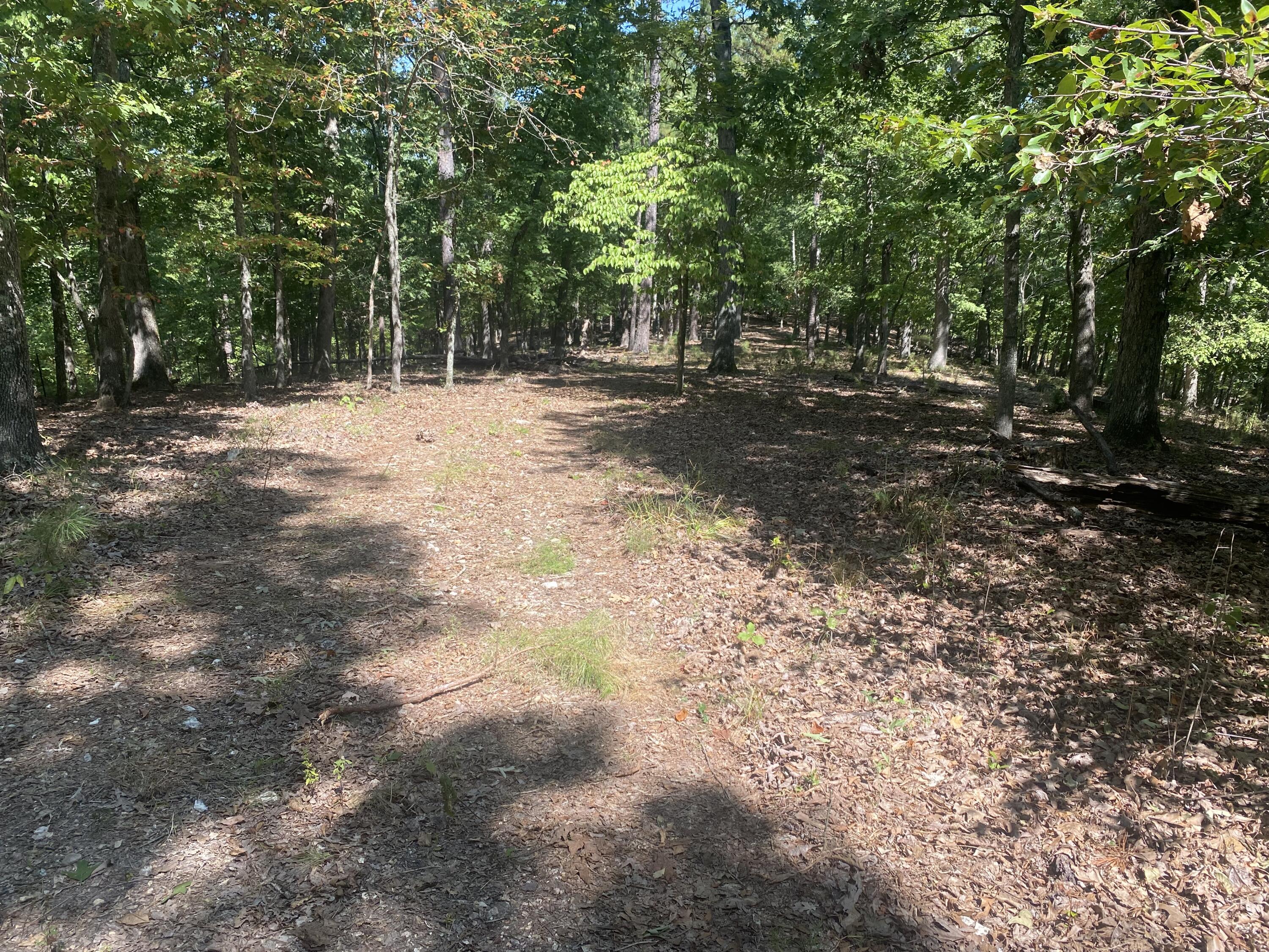 000 County Road 550 Property Photo 11