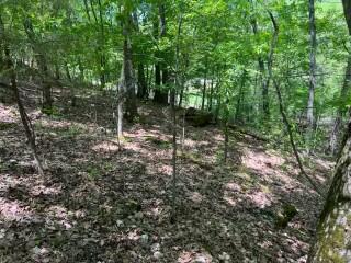 Tbd Rockbrook Road Property Photo 2