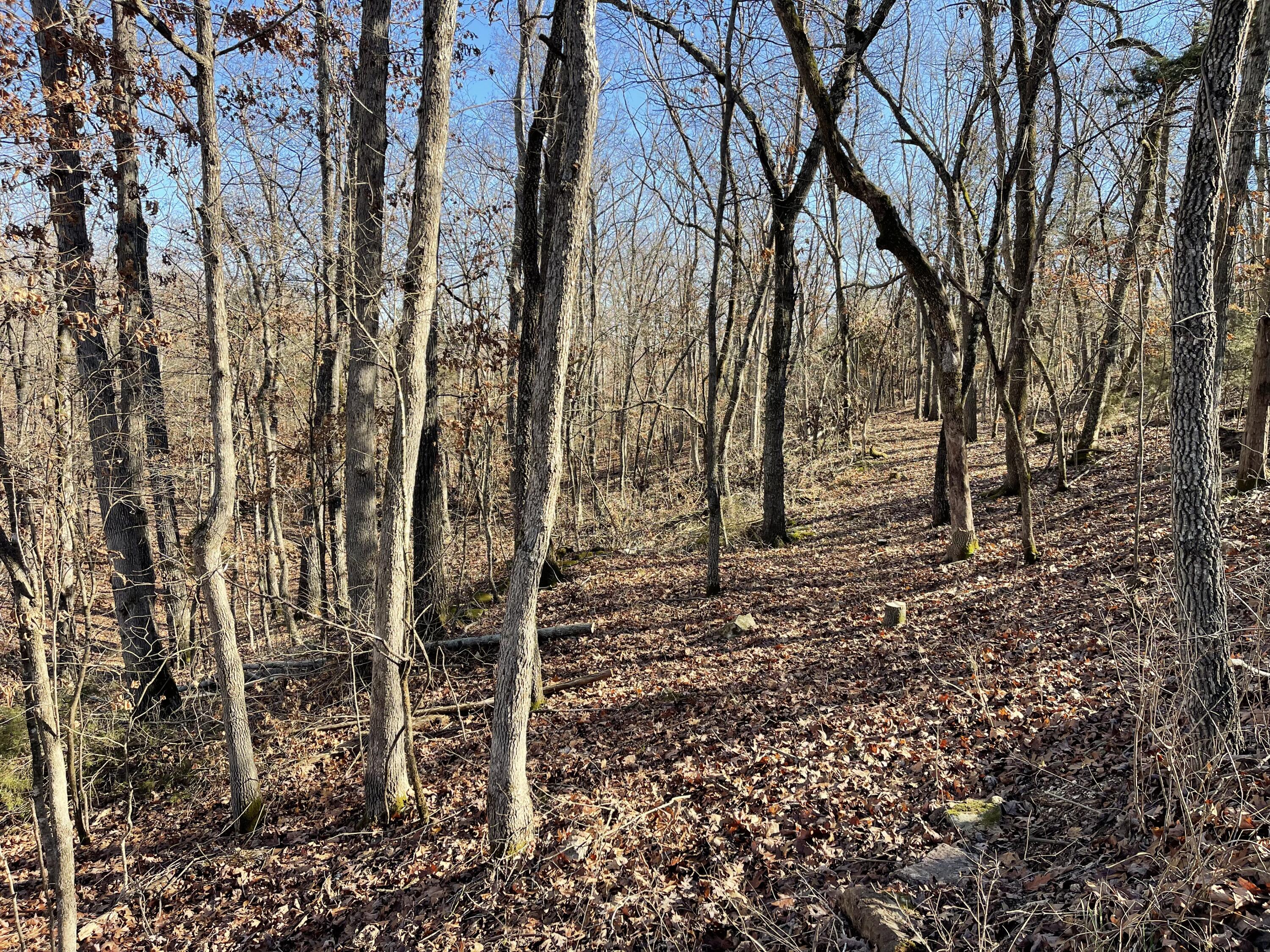 Tbd Rockbrook Road Property Photo 5