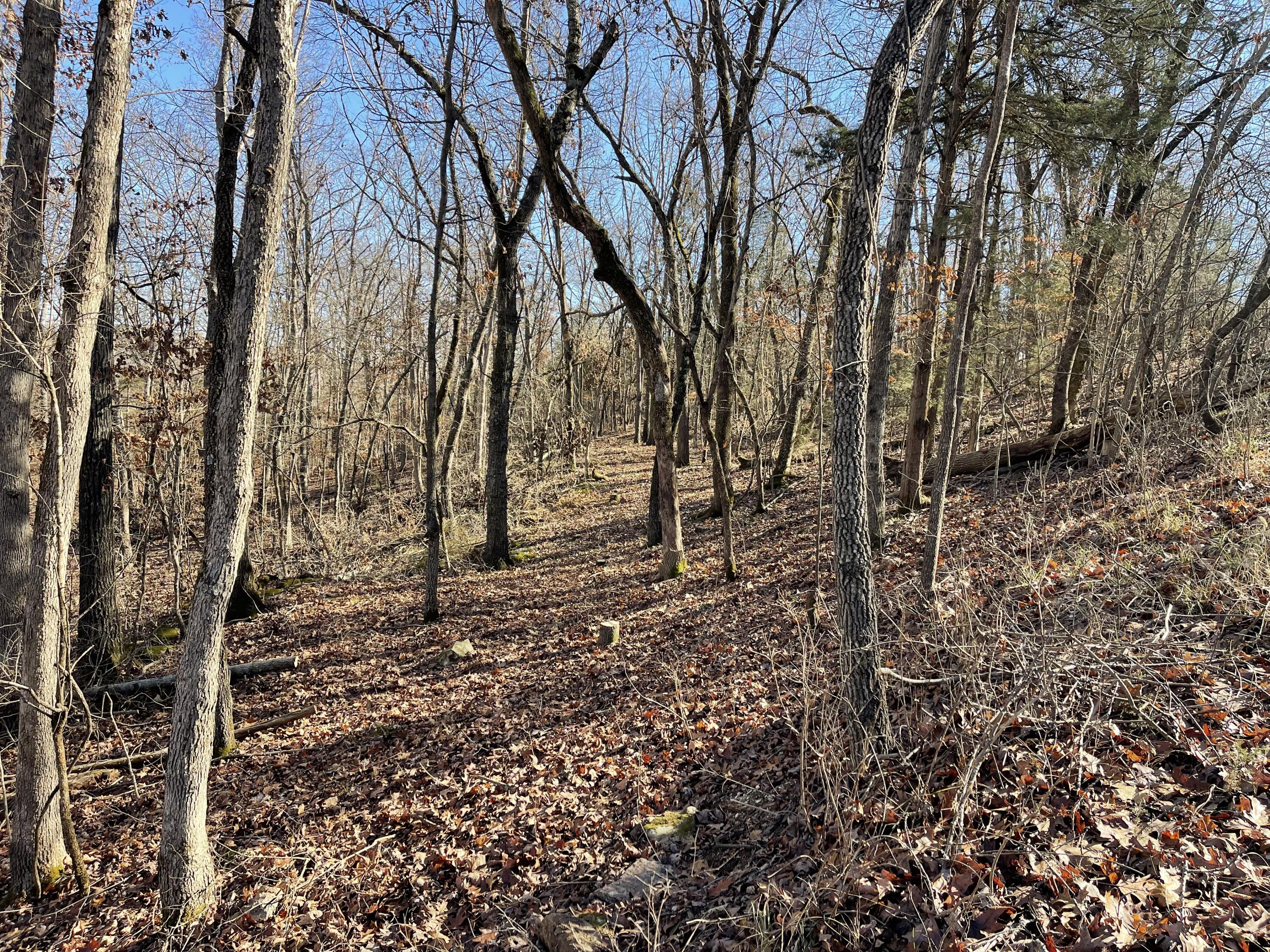 Tbd Rockbrook Road Property Photo 6
