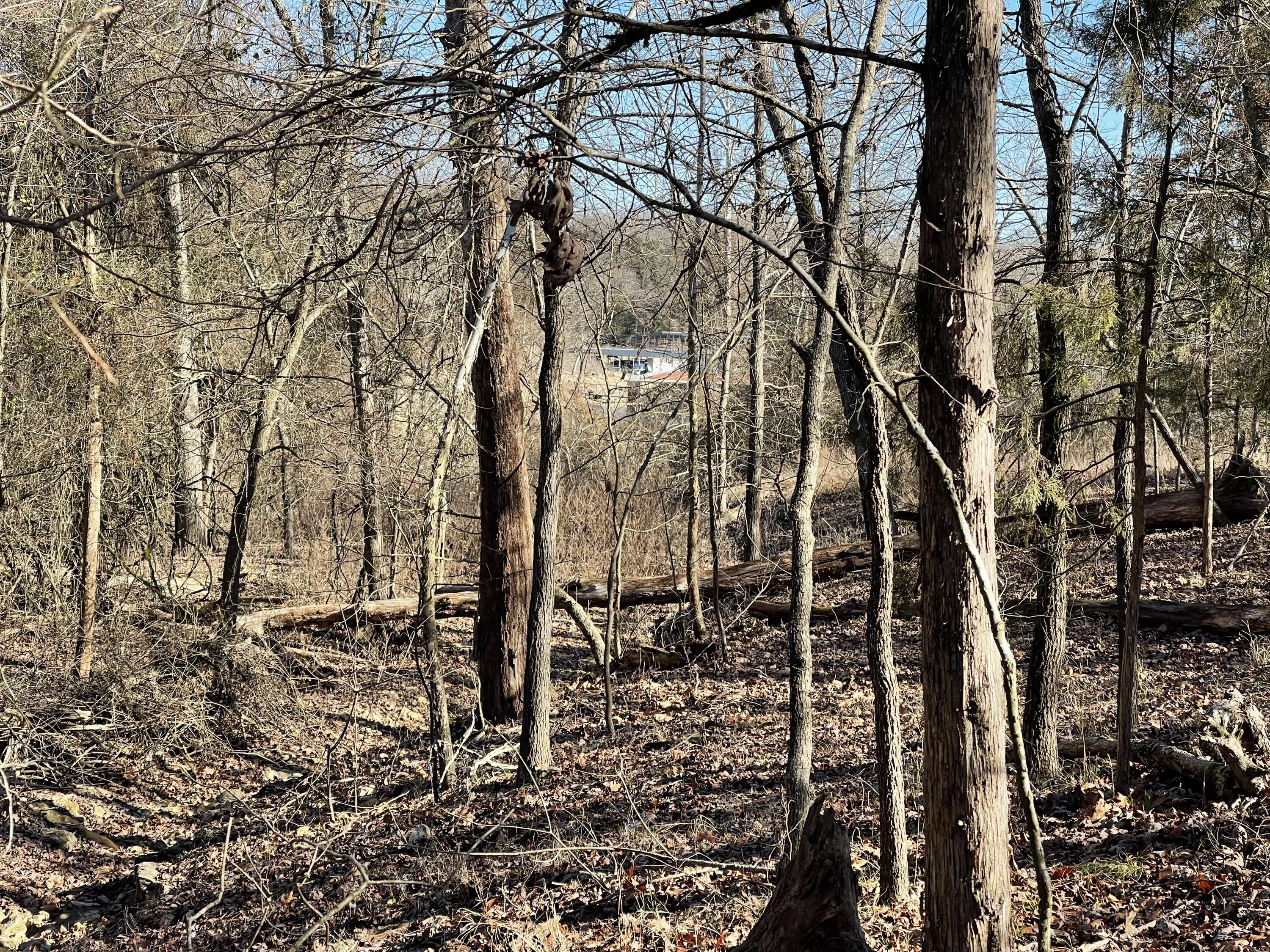 Tbd Rockbrook Road Property Photo 7