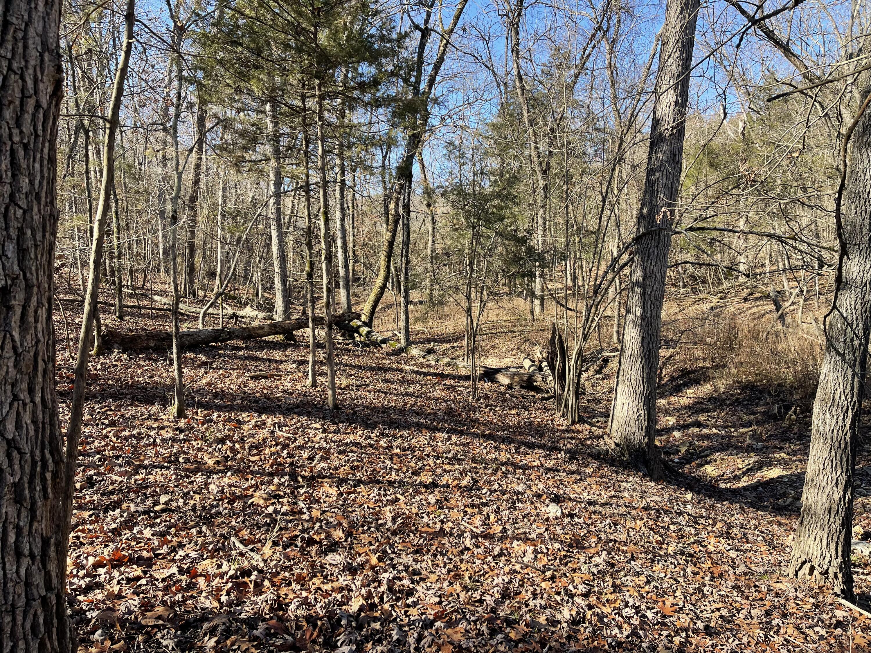 Tbd Rockbrook Road Property Photo 8