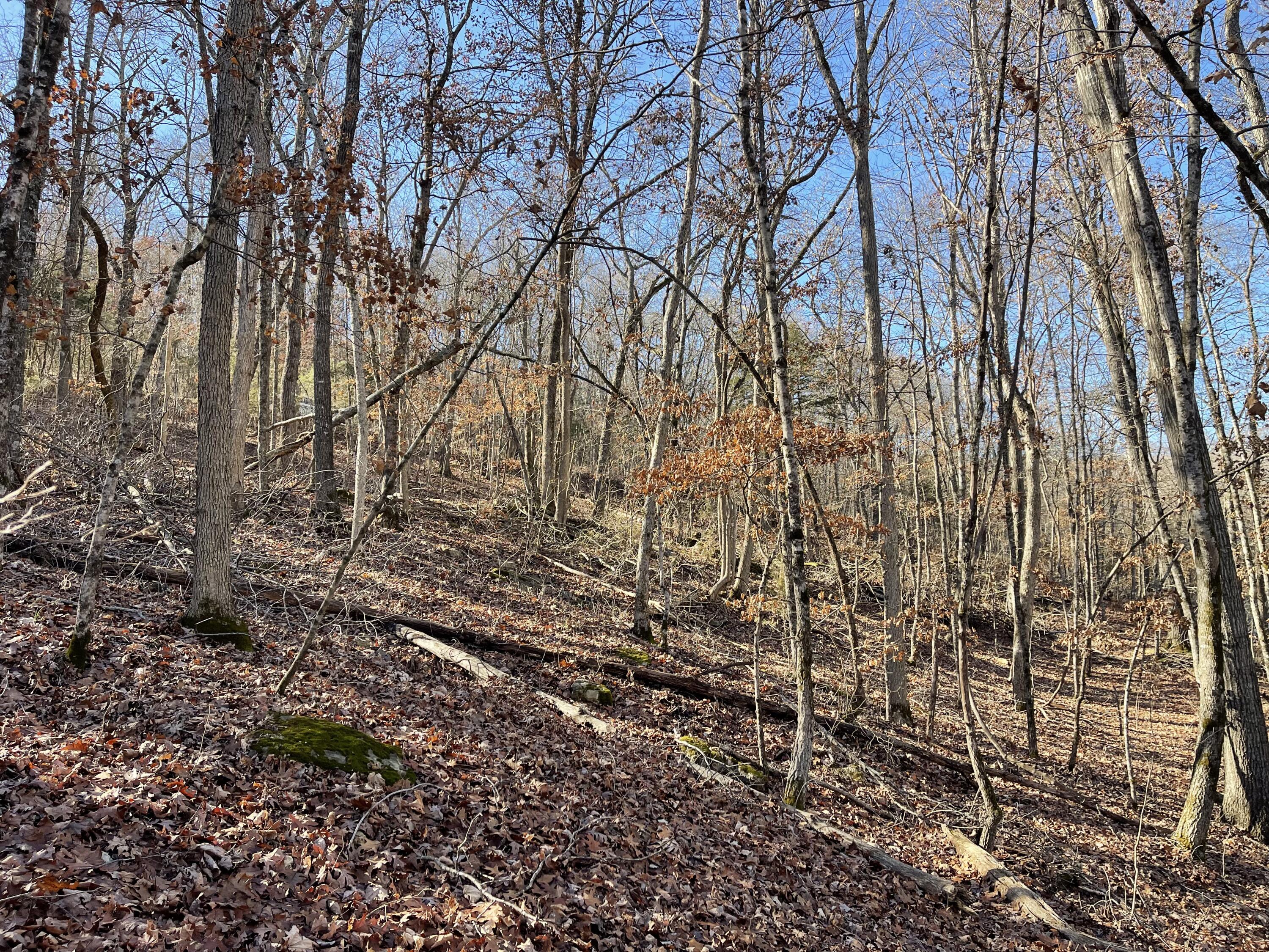 Tbd Rockbrook Road Property Photo 9