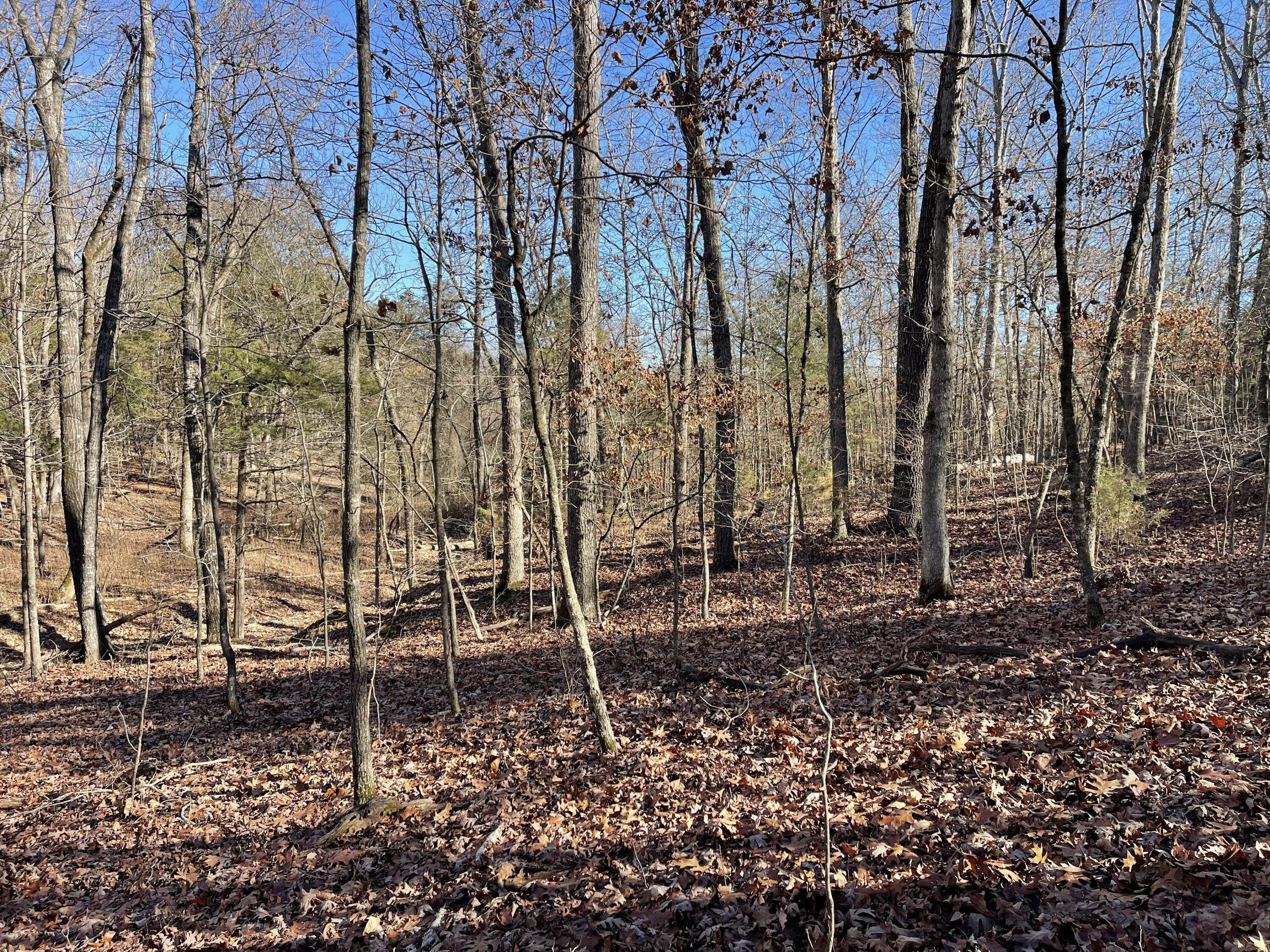Tbd Rockbrook Road Property Photo 10