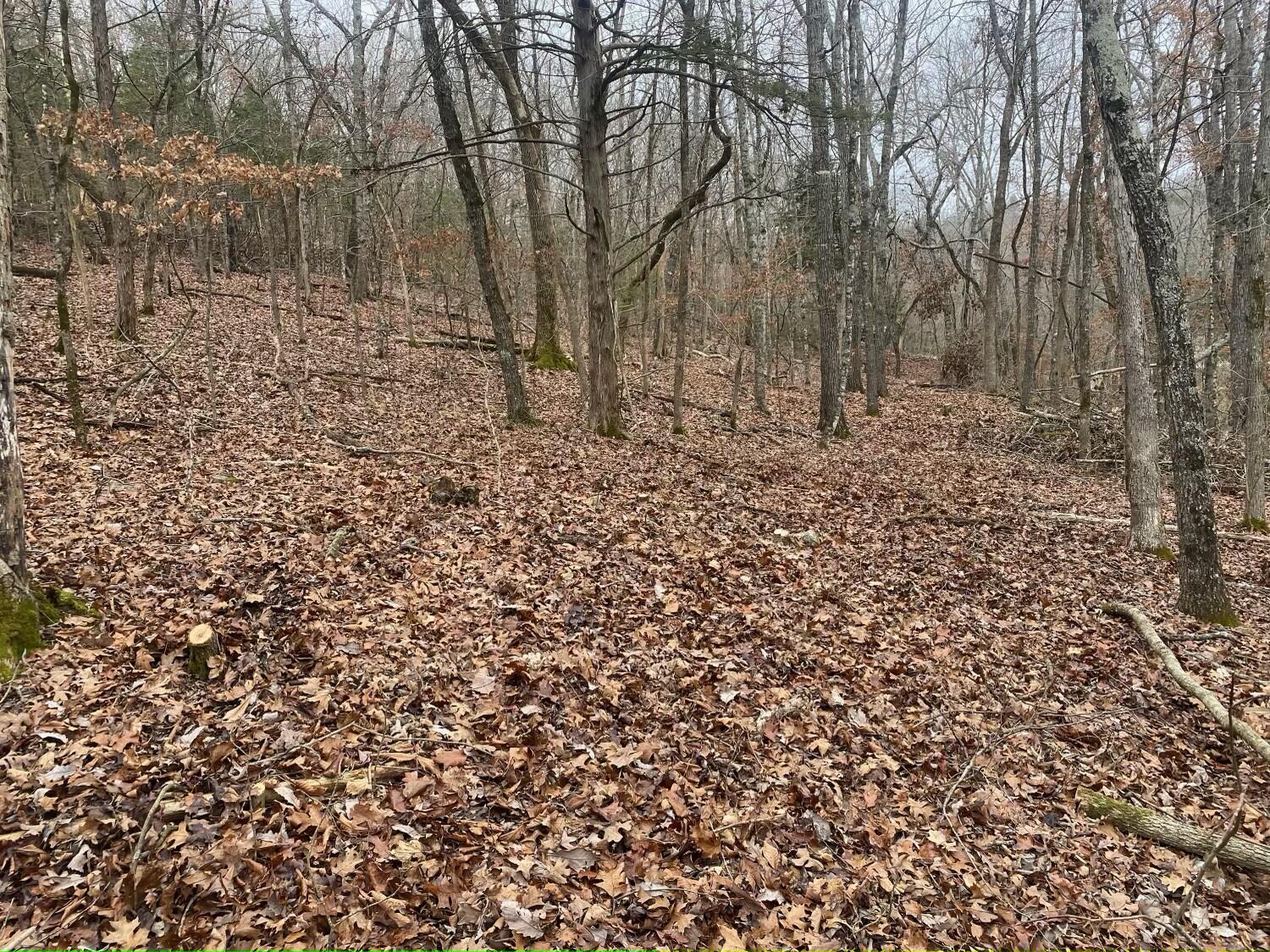 Tbd Rockbrook Road Property Photo 13