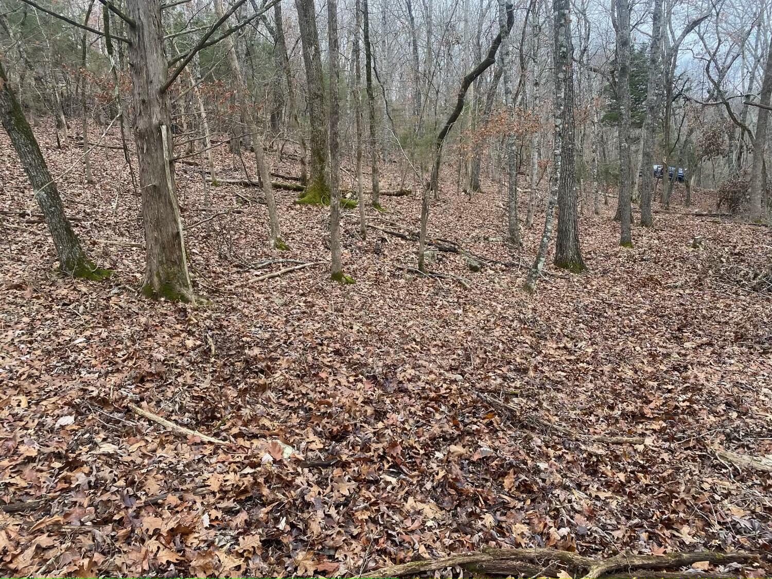 Tbd Rockbrook Road Property Photo 14