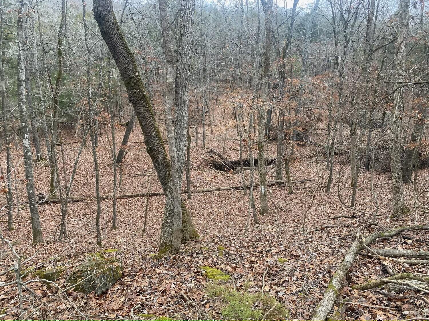 Tbd Rockbrook Road Property Photo 16