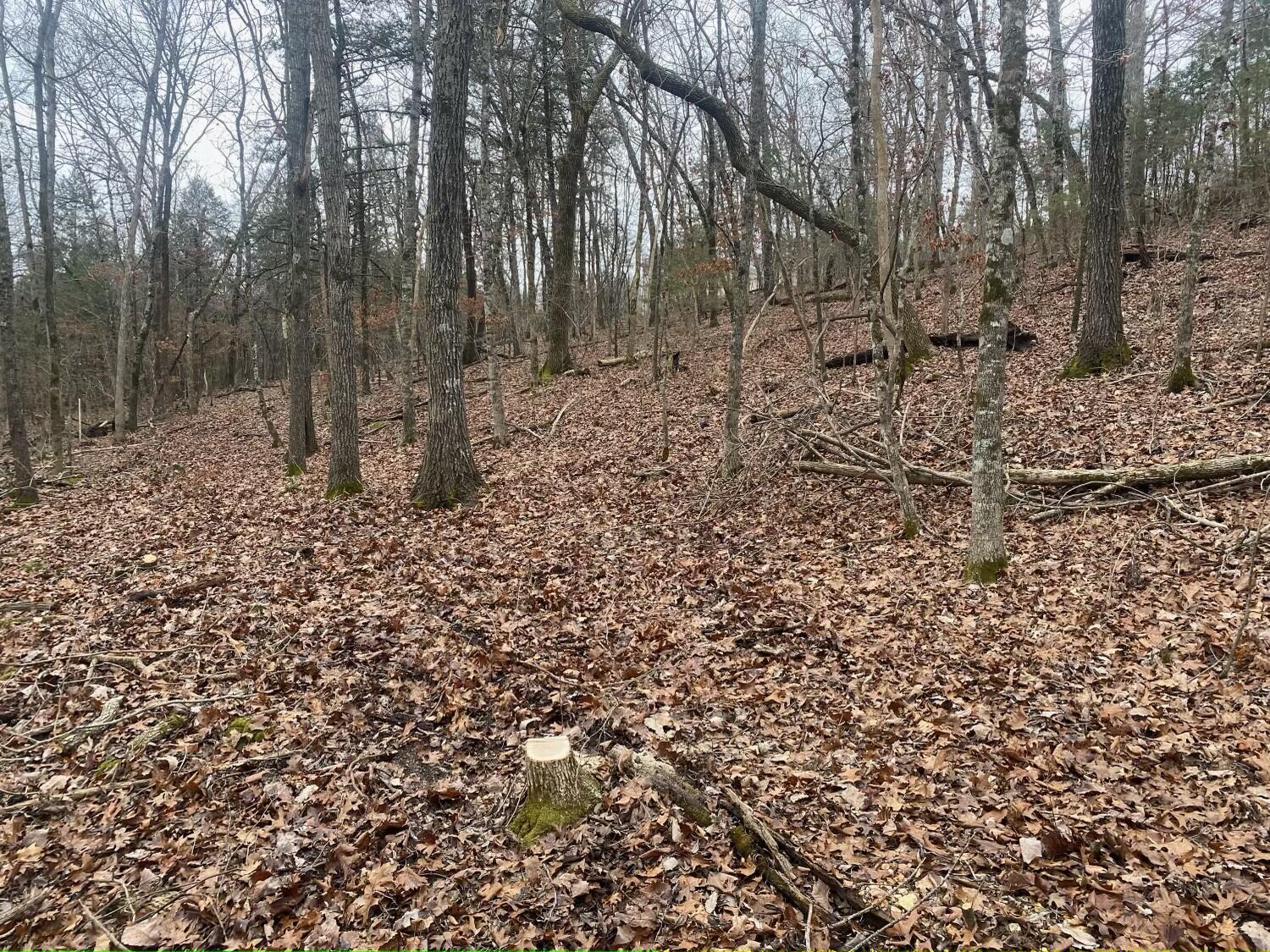 Tbd Rockbrook Road Property Photo 18