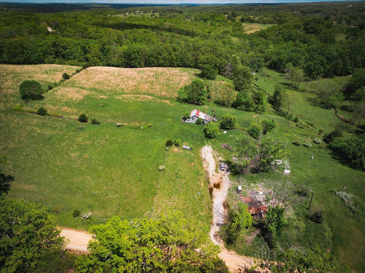 18241 Pine Road Property Photo 4