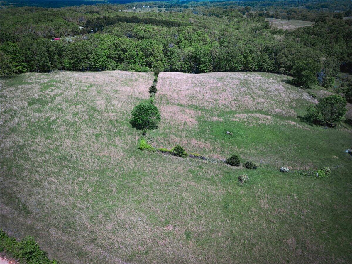 18241 Pine Road Property Photo 8