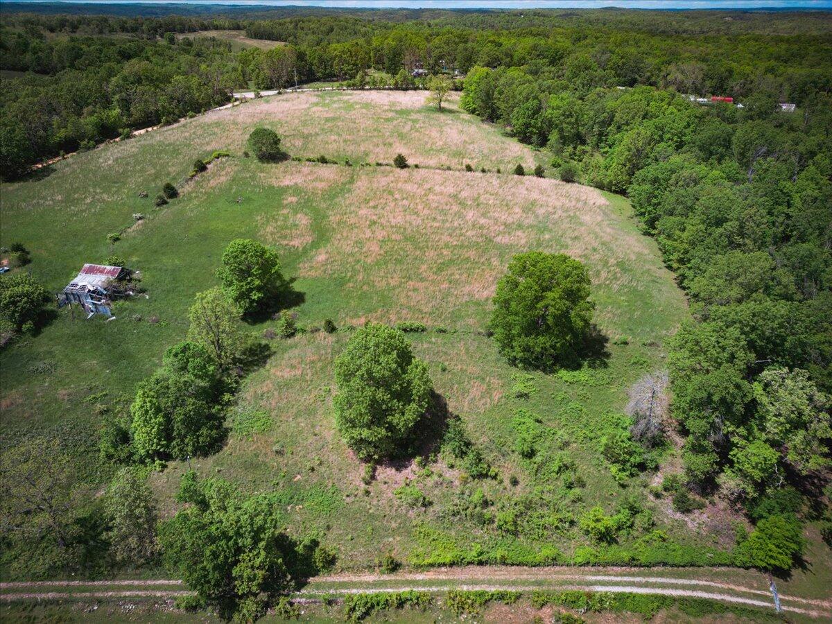 18241 Pine Road Property Photo 11