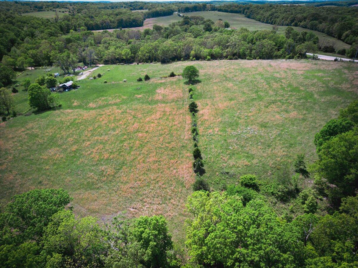 18241 Pine Road Property Photo 13