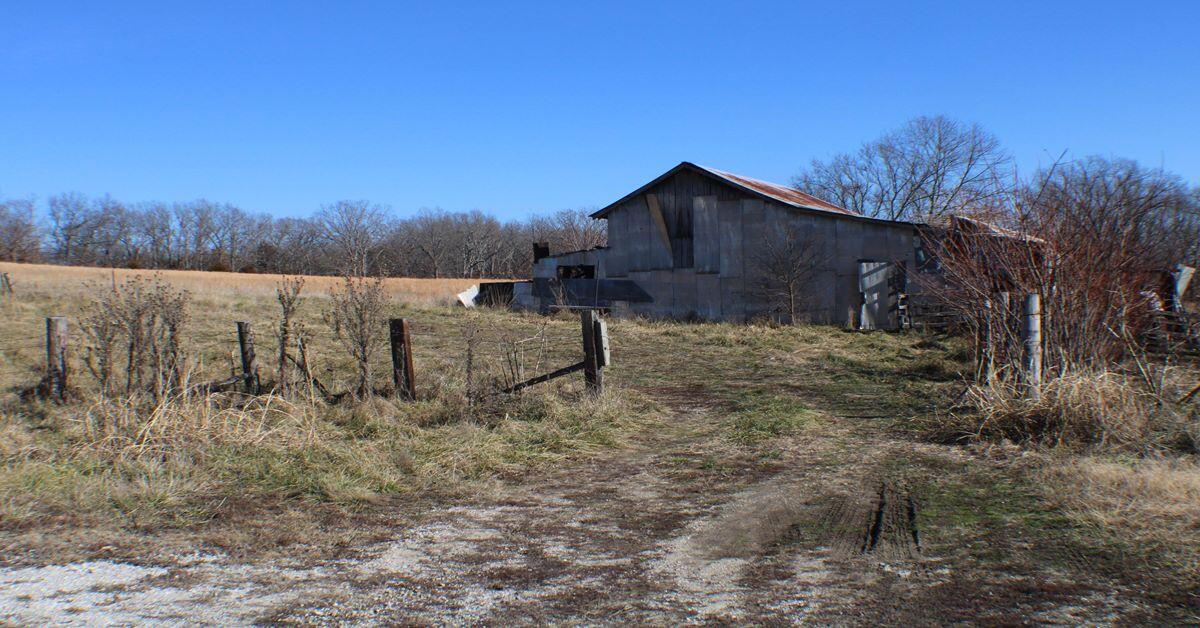 18241 Pine Road Property Photo 16
