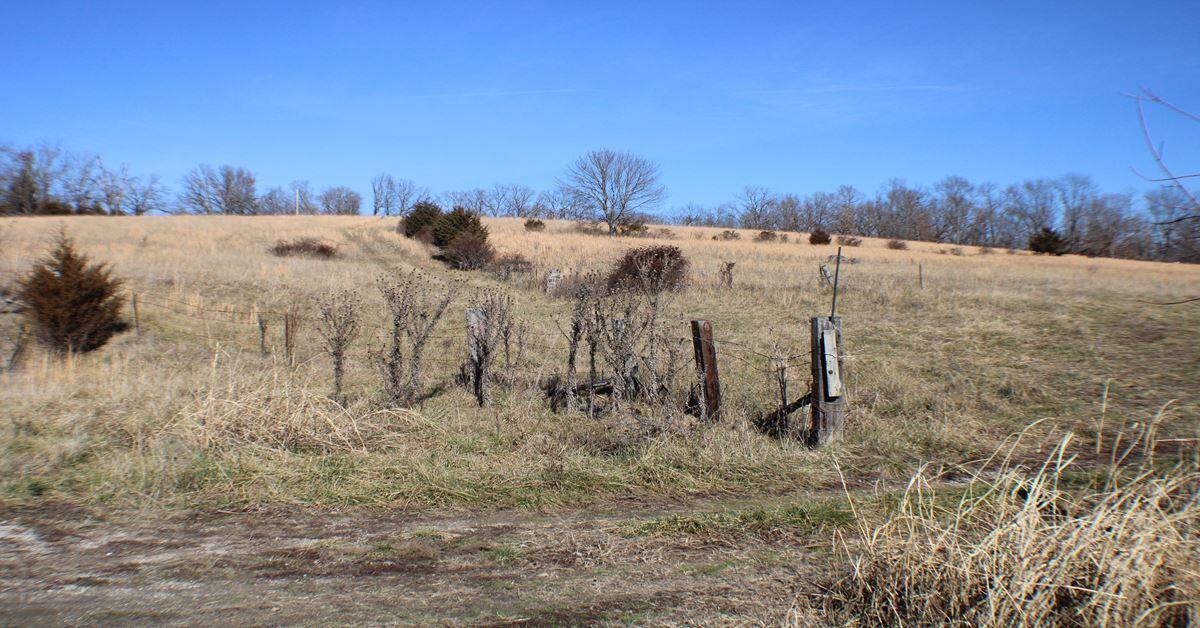 18241 Pine Road Property Photo 17