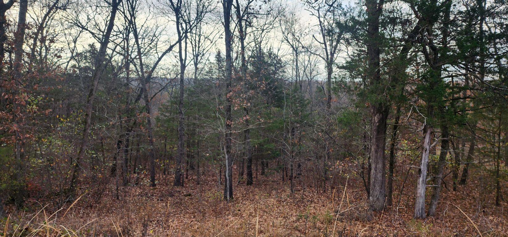 000 State Highway Ra Property Photo 2