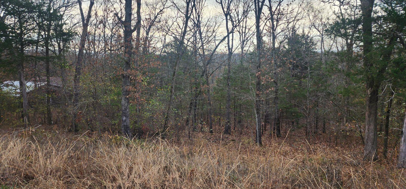 000 State Highway Ra Property Photo 3