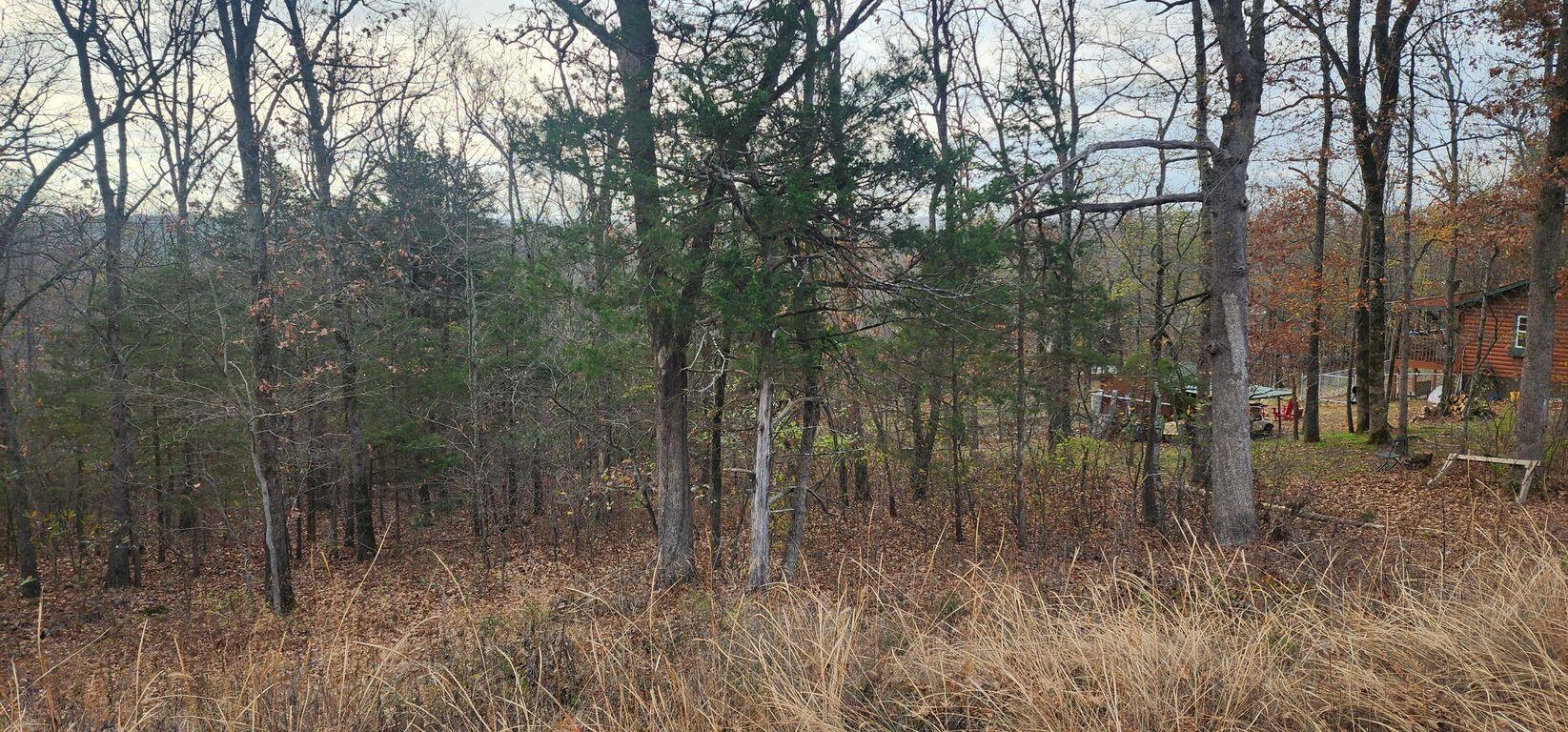 000 State Highway Ra Property Photo 4