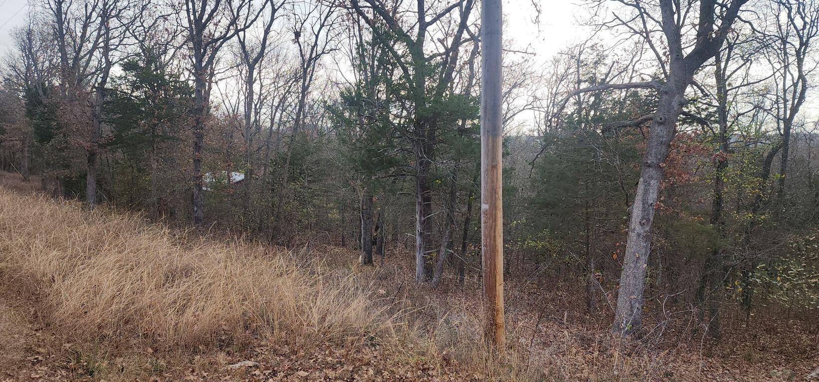000 State Highway Ra Property Photo 5