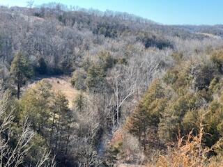 000000 Ozark Scenic Property Photo 1