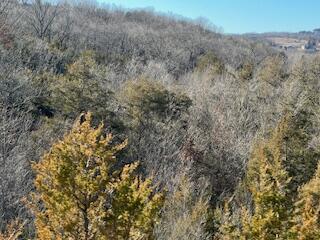 000000 Ozark Scenic Property Photo 4