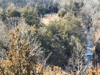 000000 Ozark Scenic Property Photo 6