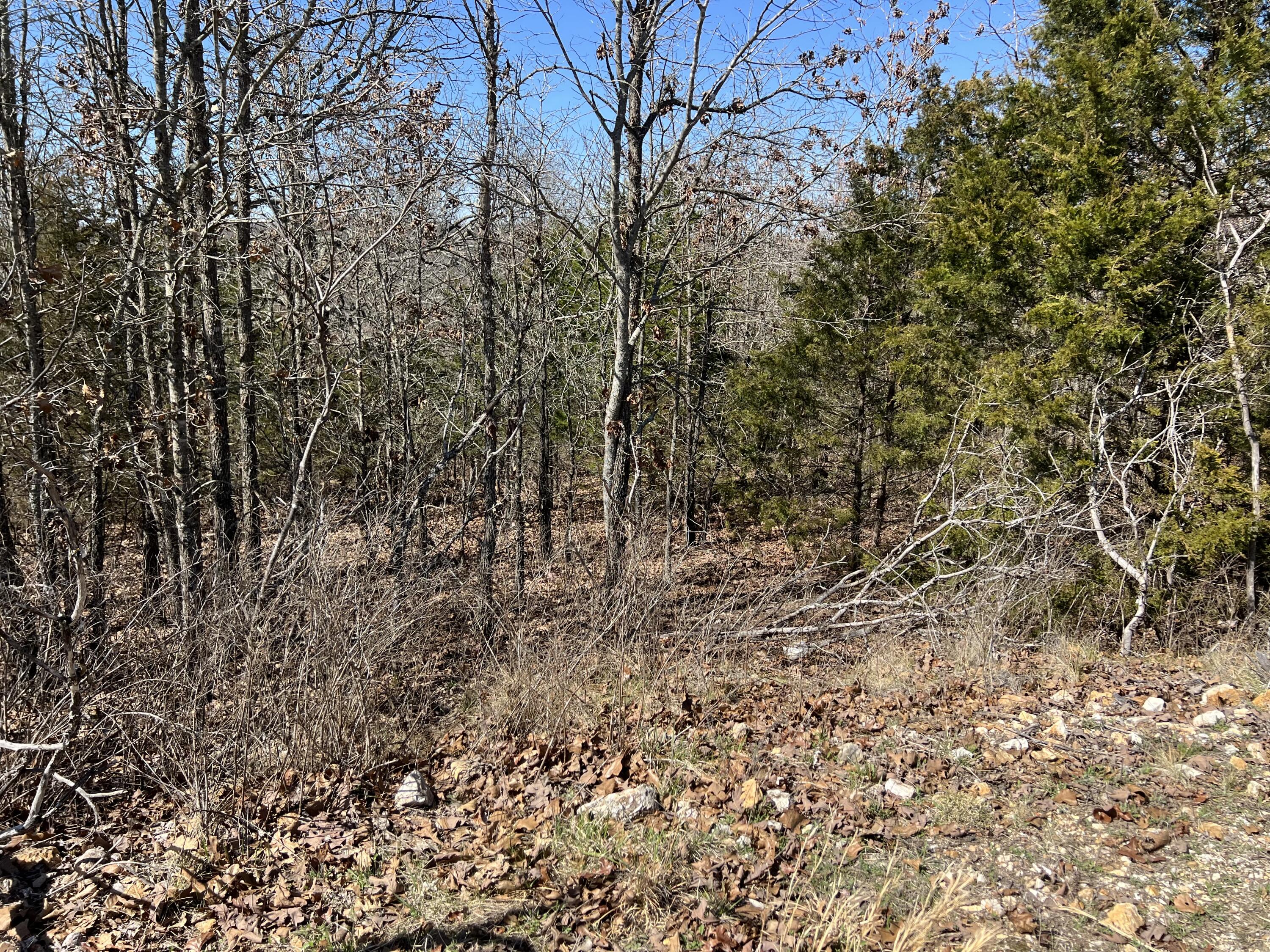 000 Tbd Private Drive County Road 116 Property Photo 2