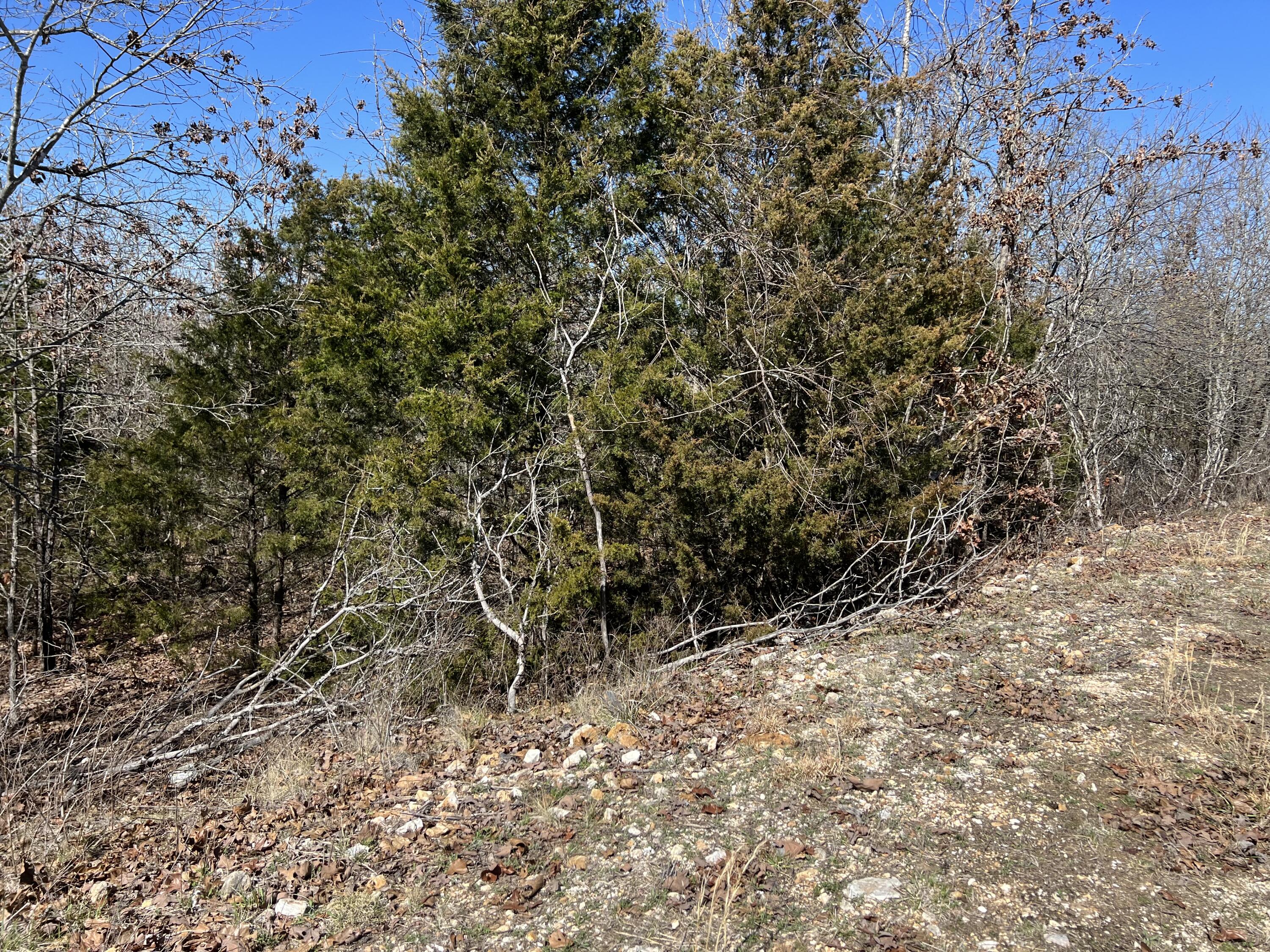 000 Tbd Private Drive County Road 116 Property Photo 4